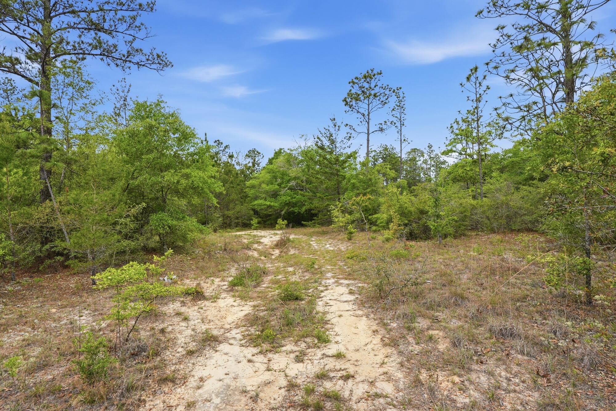 287 High Lonesome Road Defuniak Springs FL 32435