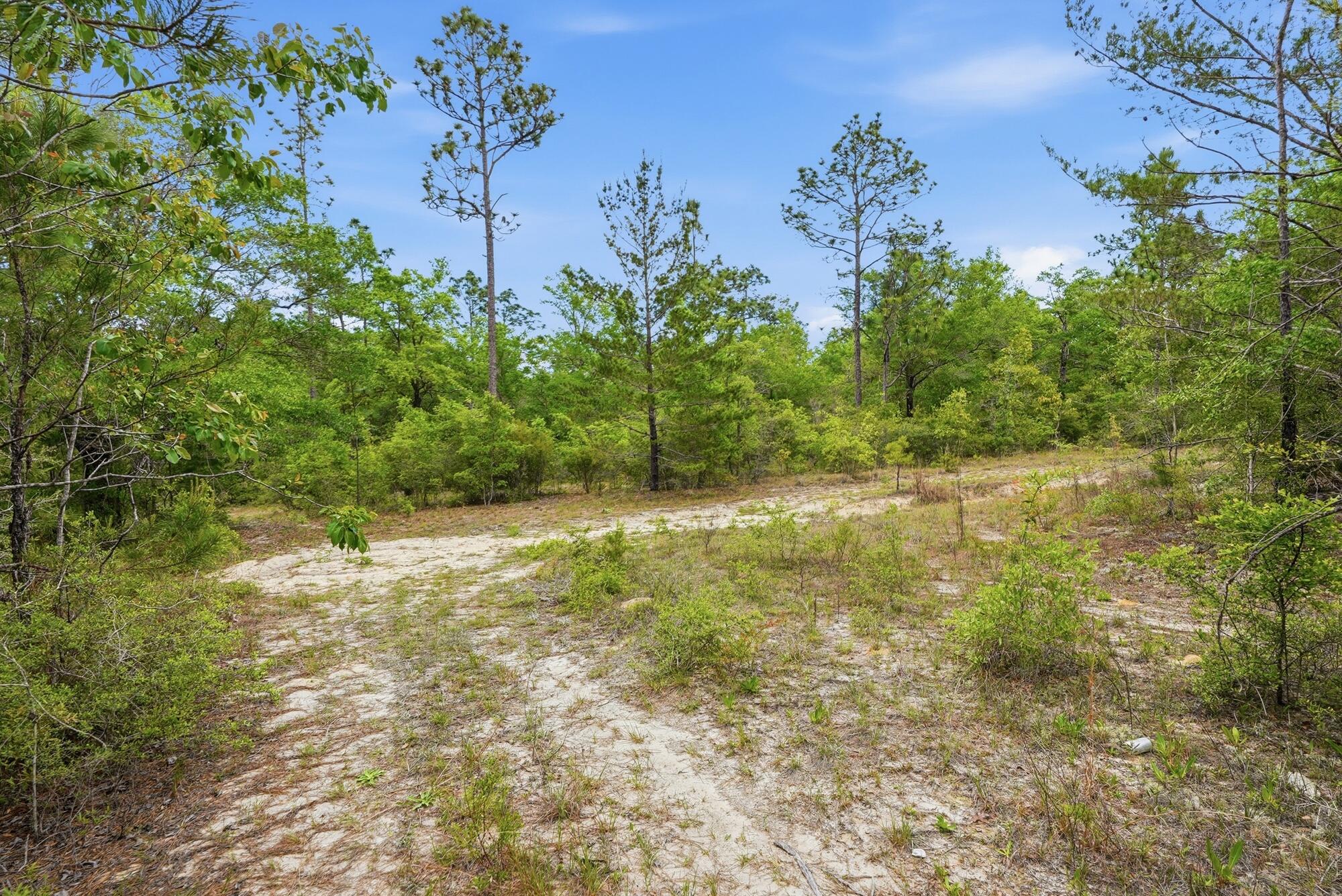 287 High Lonesome Road Defuniak Springs FL 32435