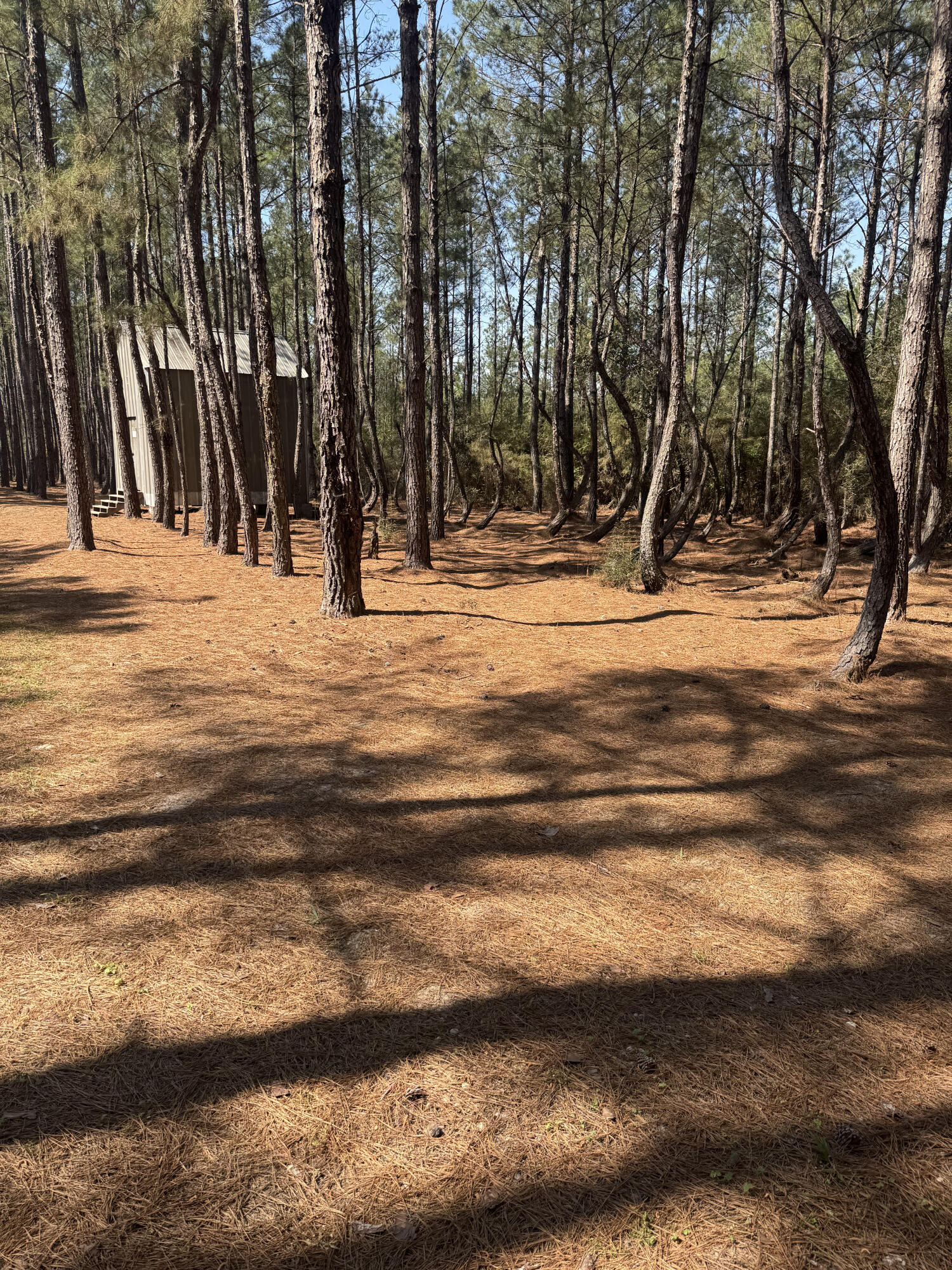 260 S Planters Drive Laurel Hill FL 32567