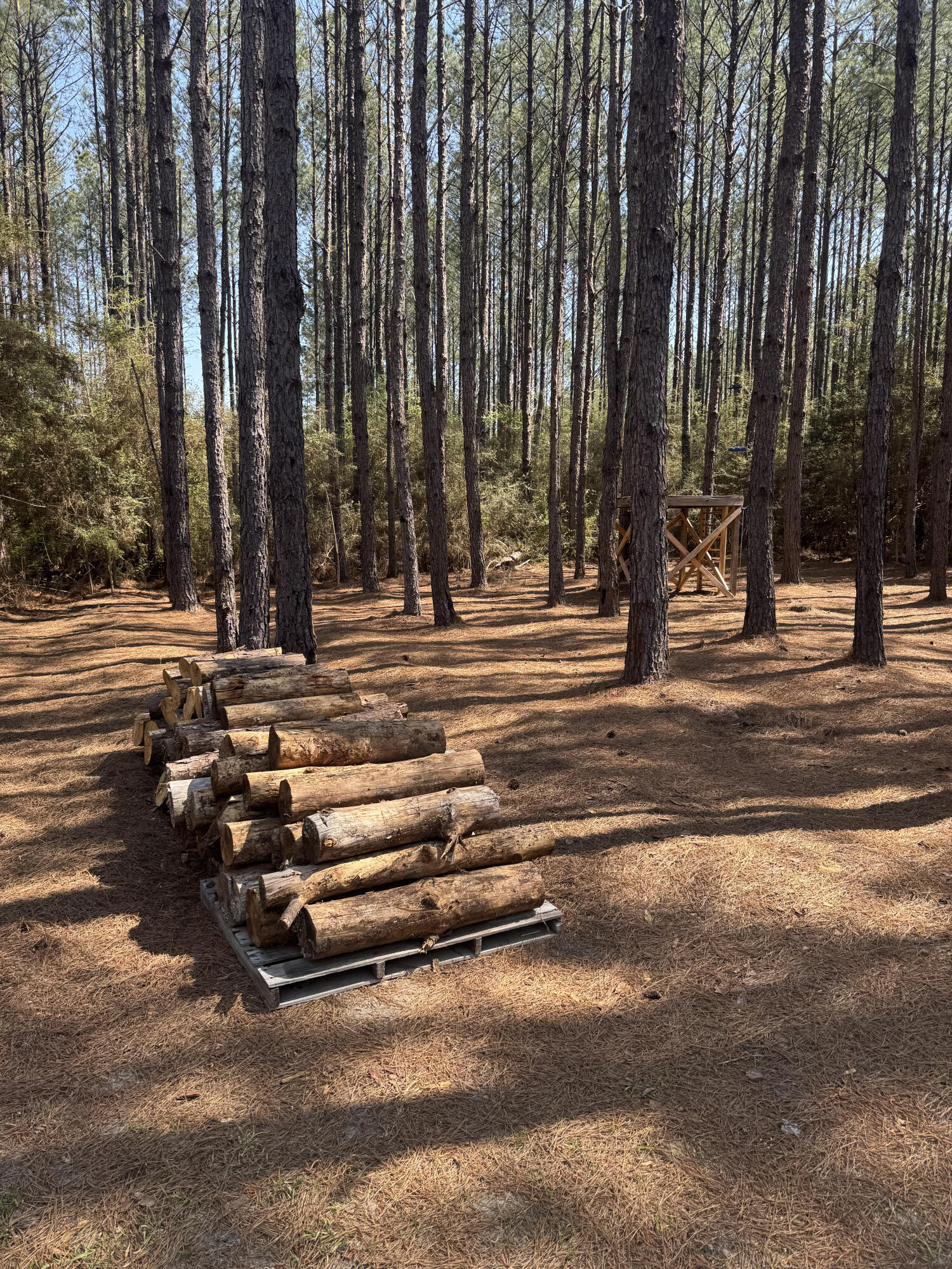 260 S Planters Drive Laurel Hill FL 32567