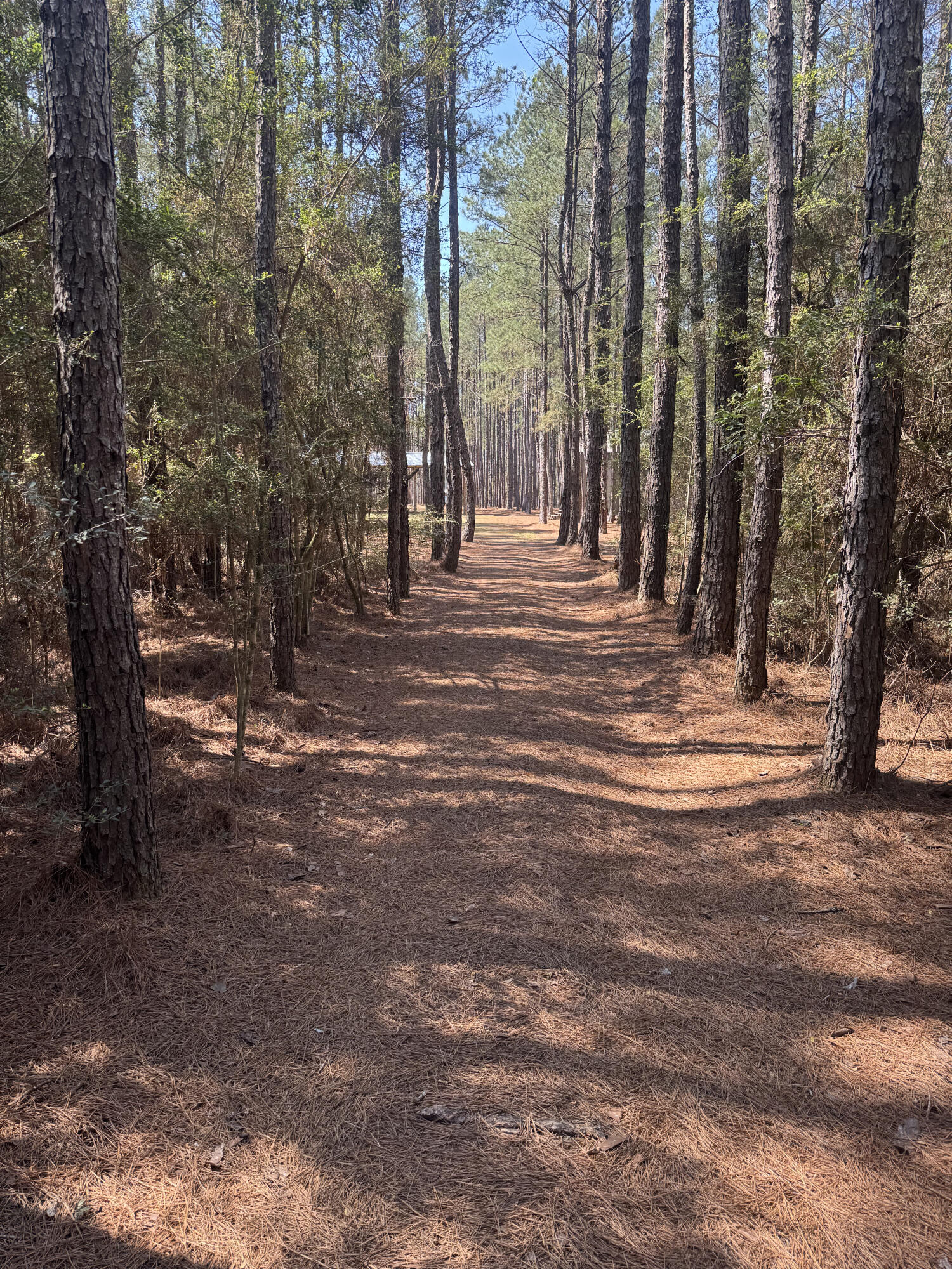 260 S Planters Drive Laurel Hill FL 32567