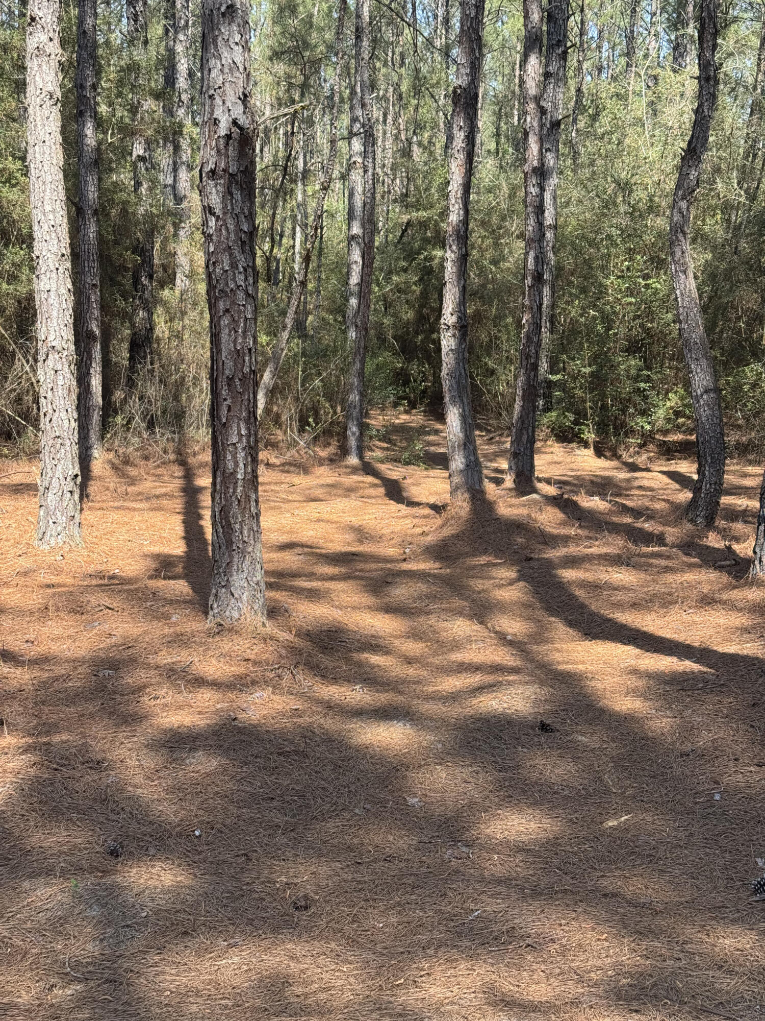 260 S Planters Drive Laurel Hill FL 32567