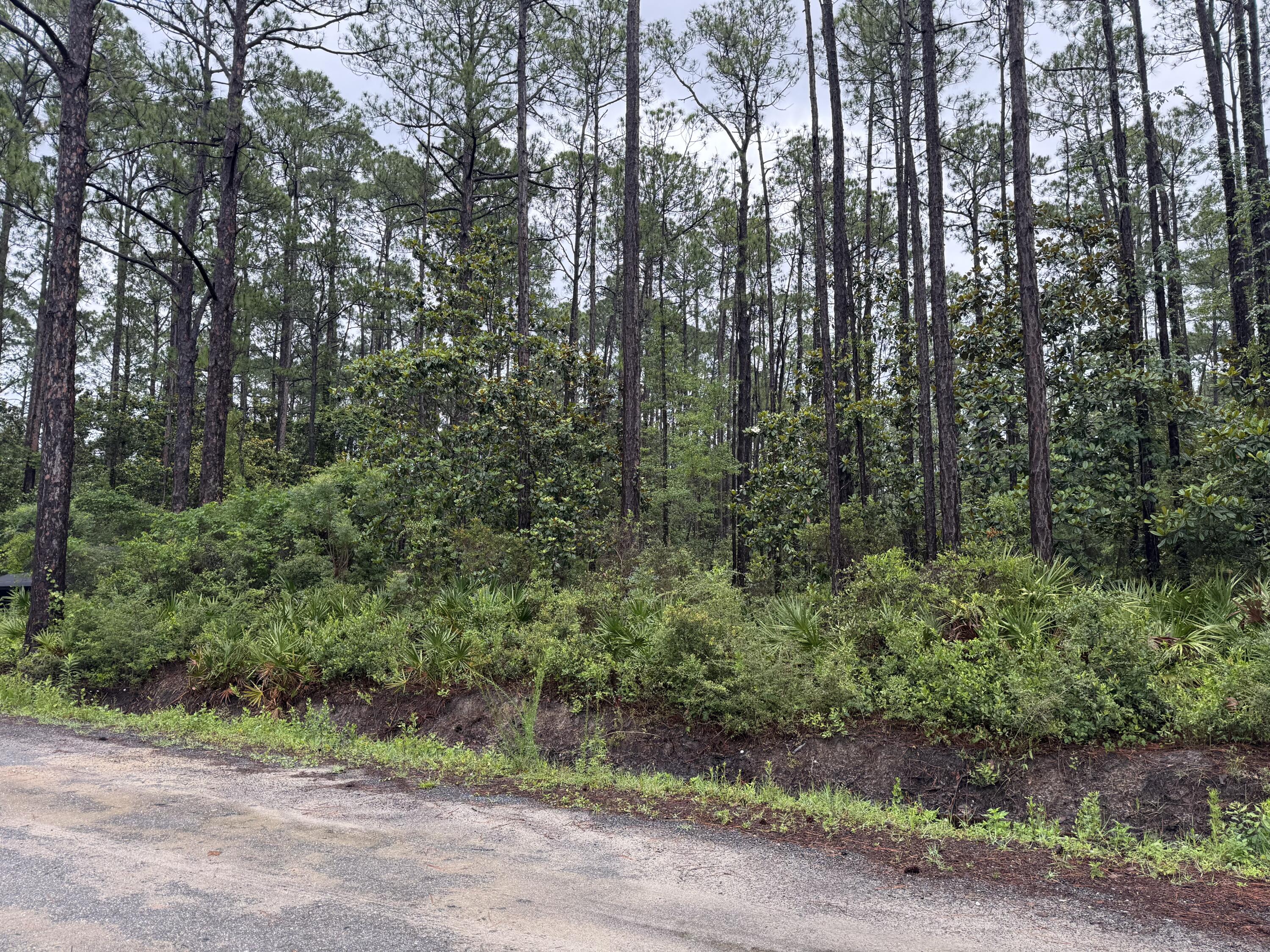 Lot 1,2,3 12 Th Street Santa Rosa Beach FL 32459