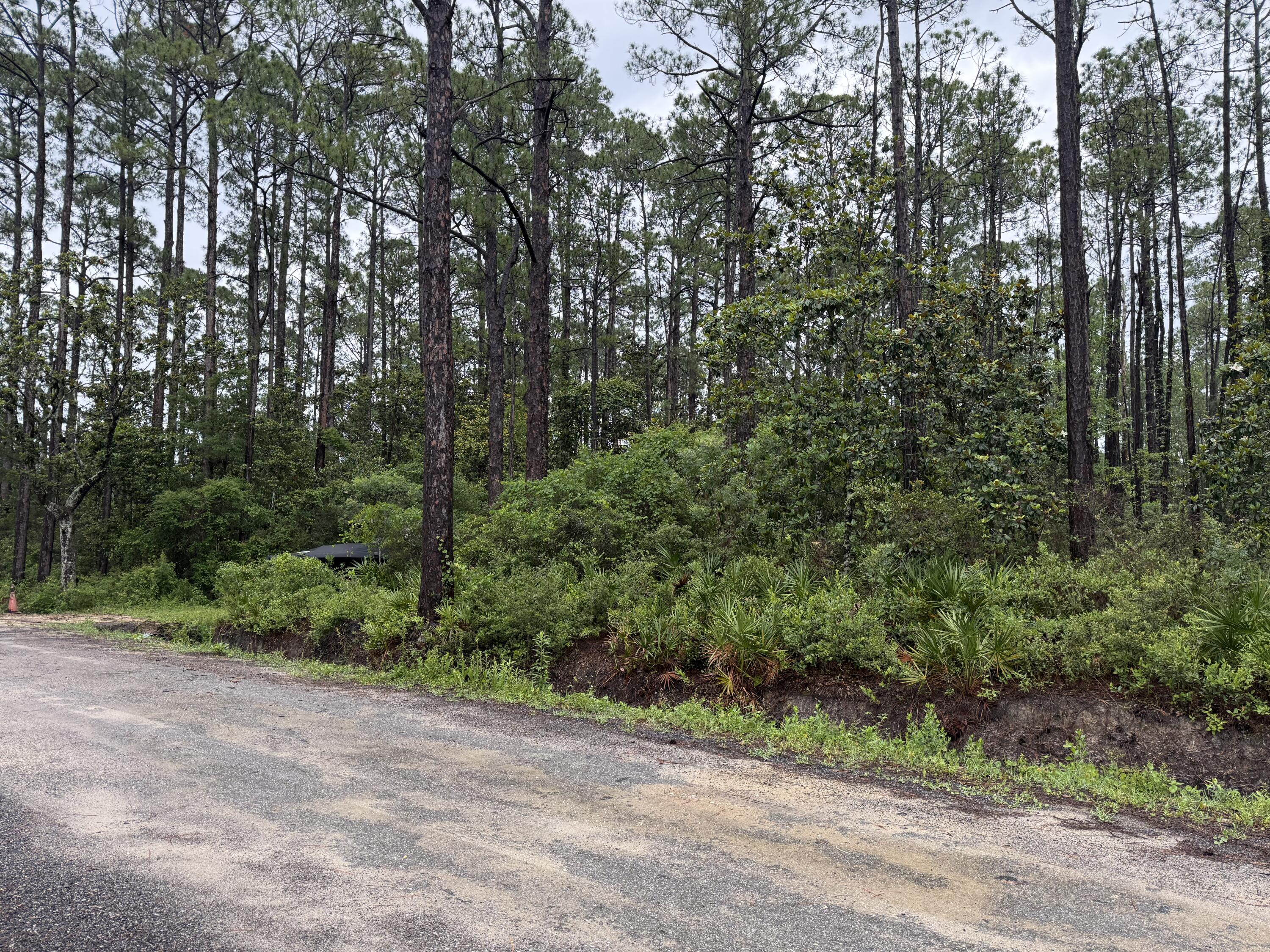 Lot 1,2,3 12 Th Street Santa Rosa Beach FL 32459