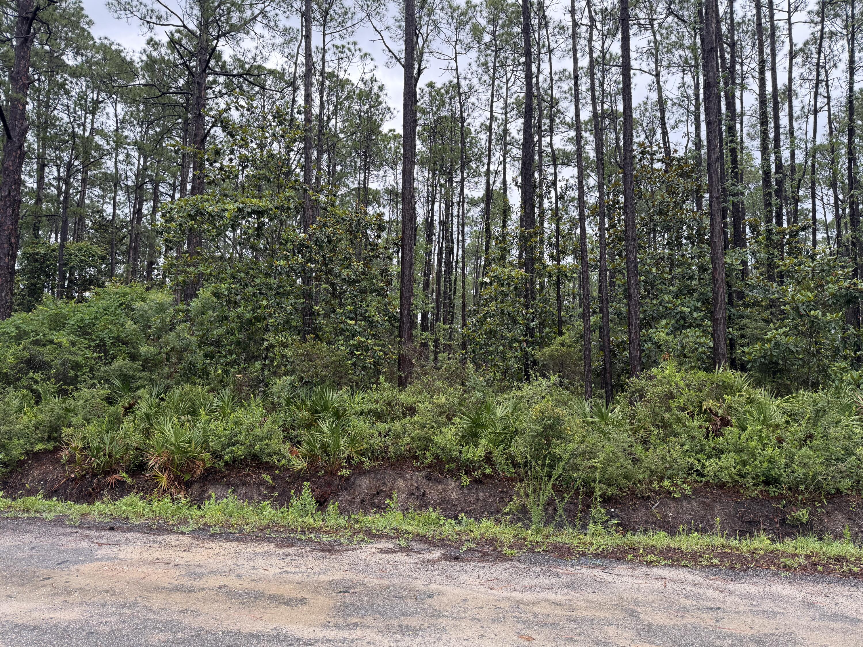 Lot 1,2,3 12 Th Street Santa Rosa Beach FL 32459