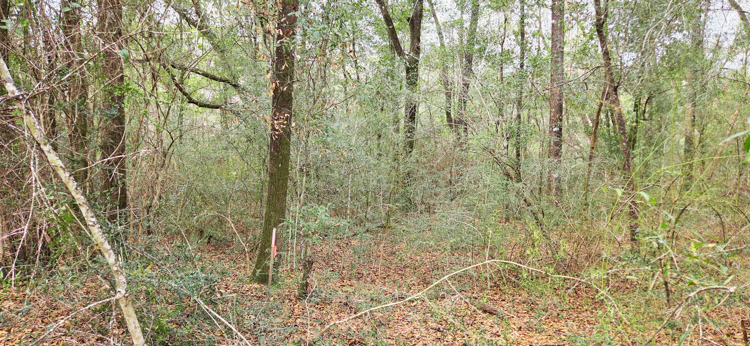 00 NE Second Avenue Crestview FL 32539