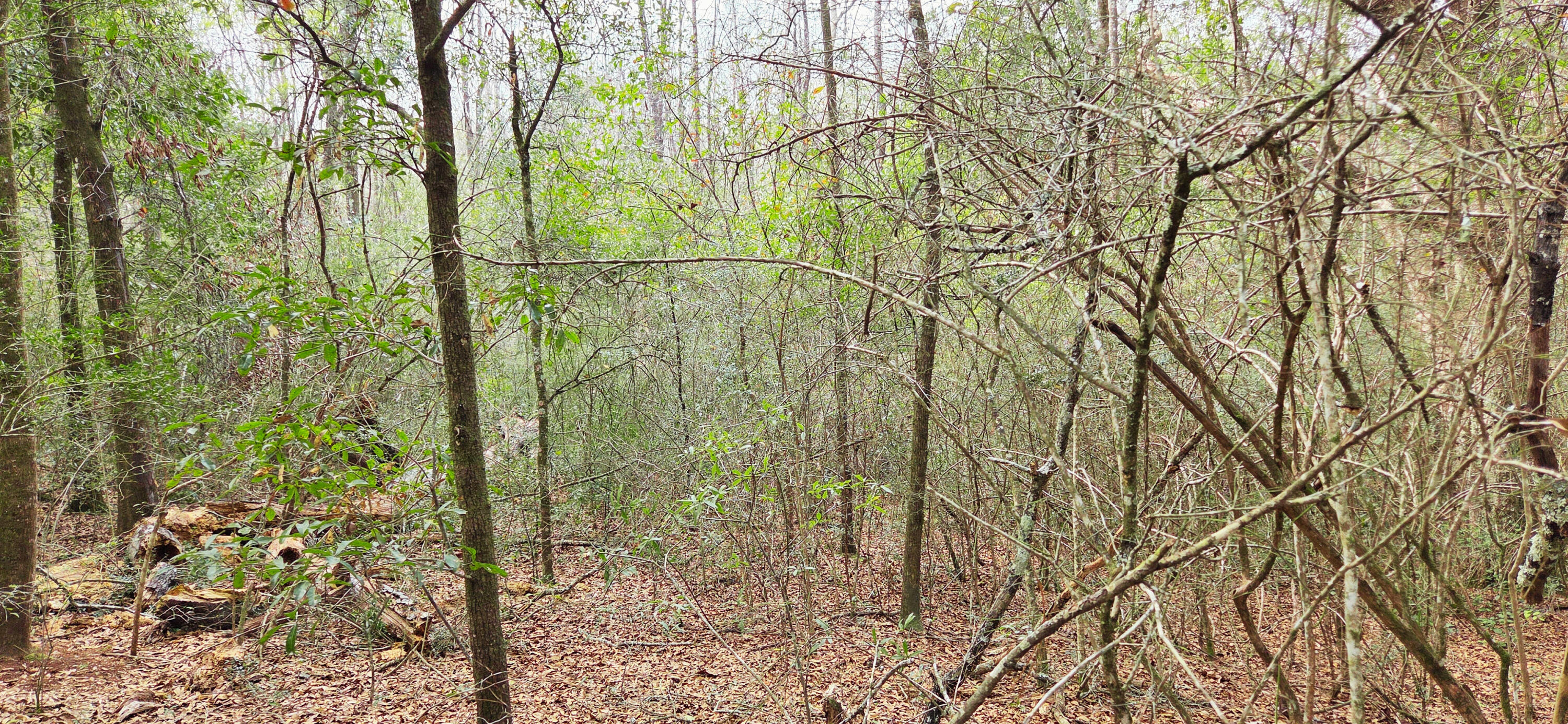 00 NE Second Avenue Crestview FL 32539
