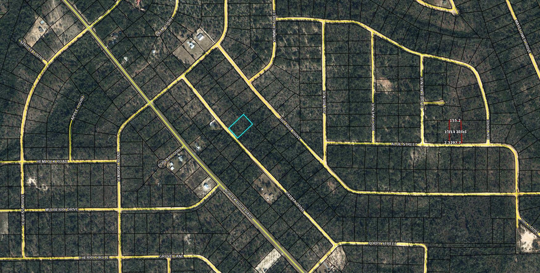 Lot 54 Papaya Street Marianna FL 32448