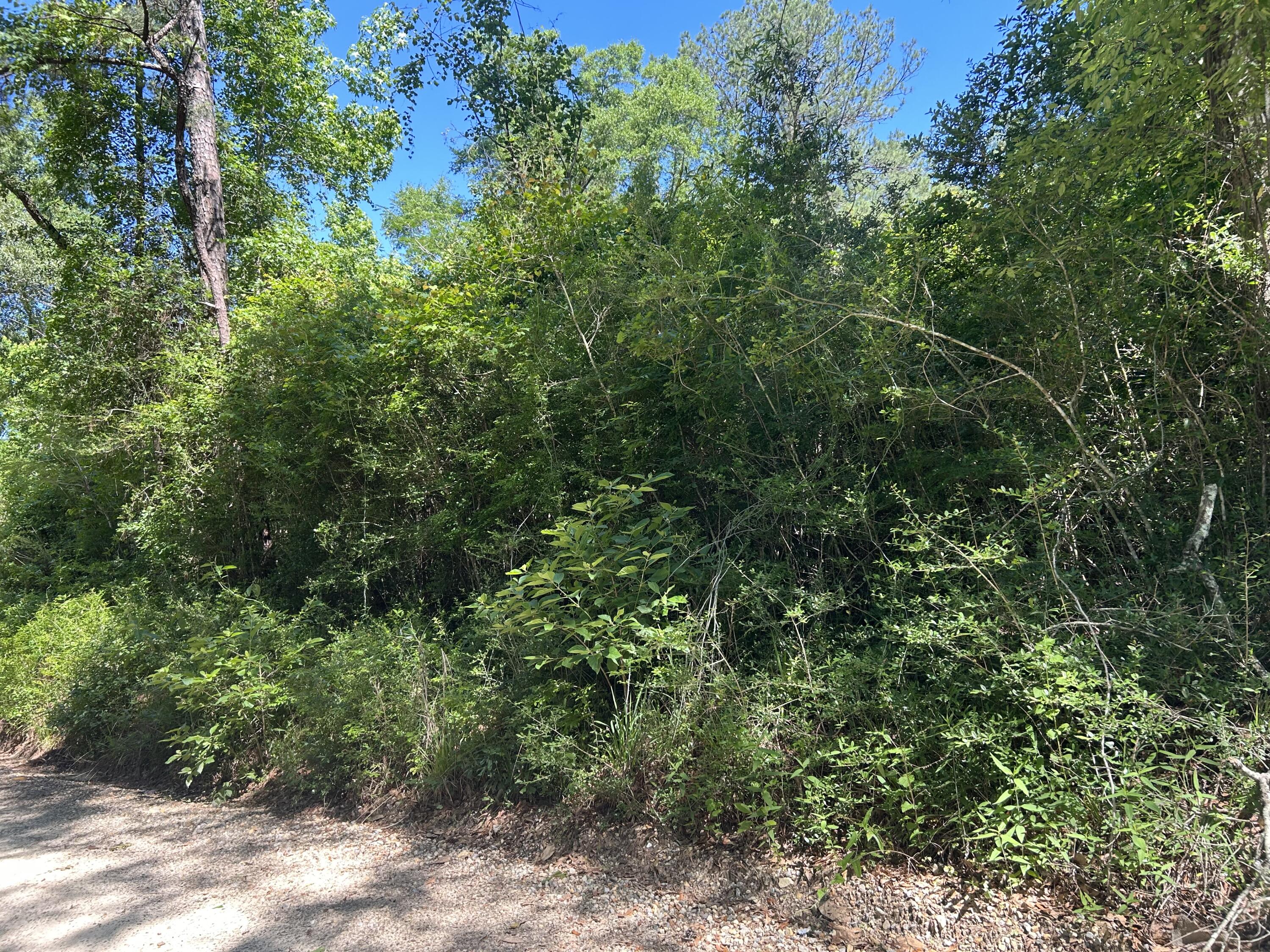 1793 Paladine Lane Westville FL 32464