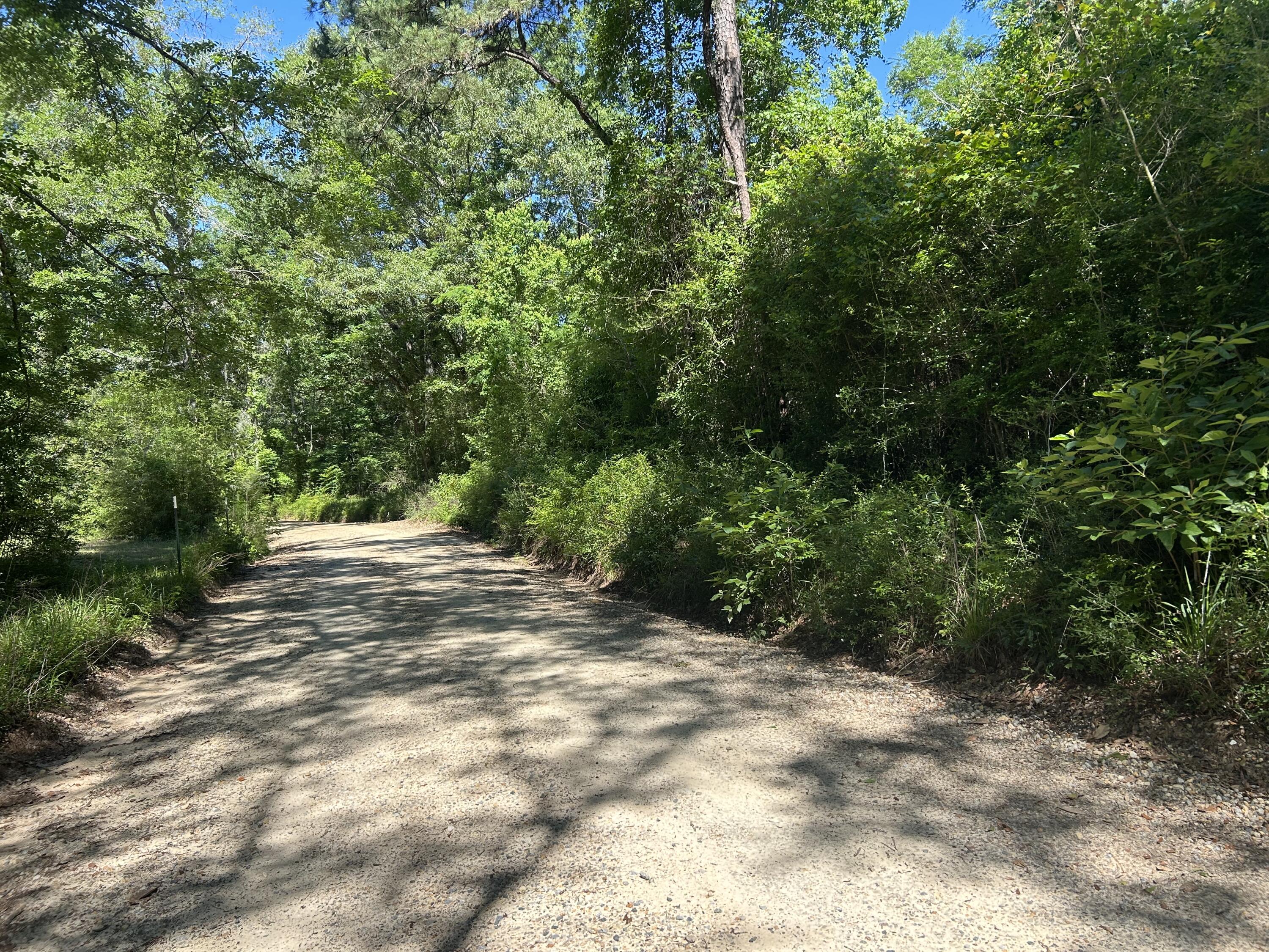 1793 Paladine Lane Westville FL 32464