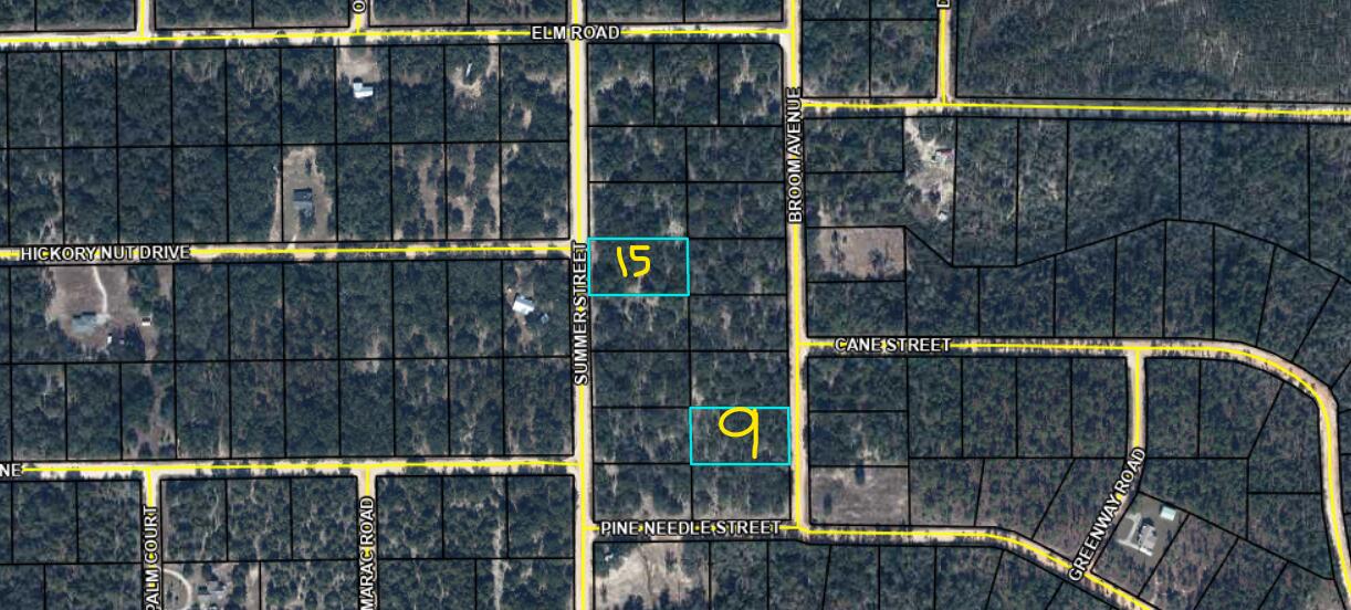 Lot 9 /15 Broom Avenue Marianna FL 32448