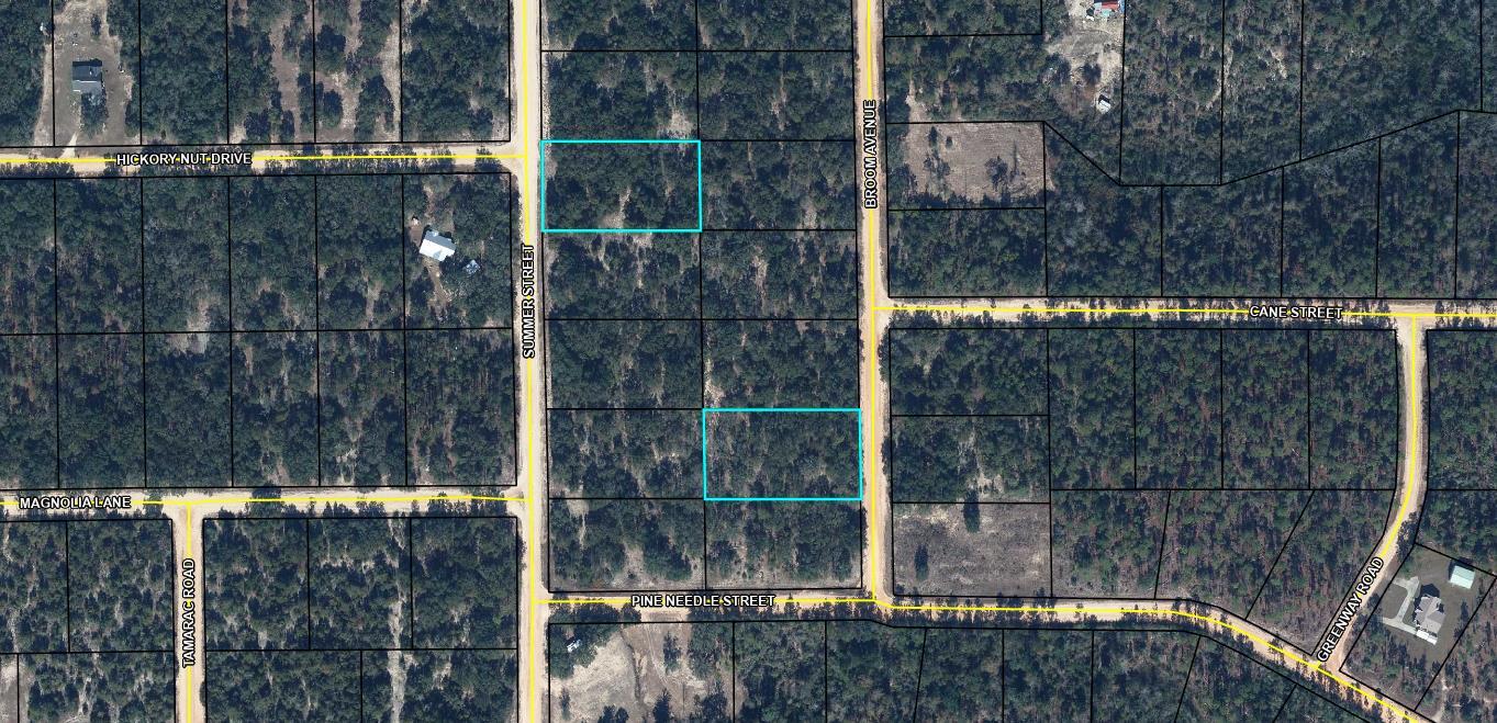 Lot 9 /15 Broom Avenue Marianna FL 32448