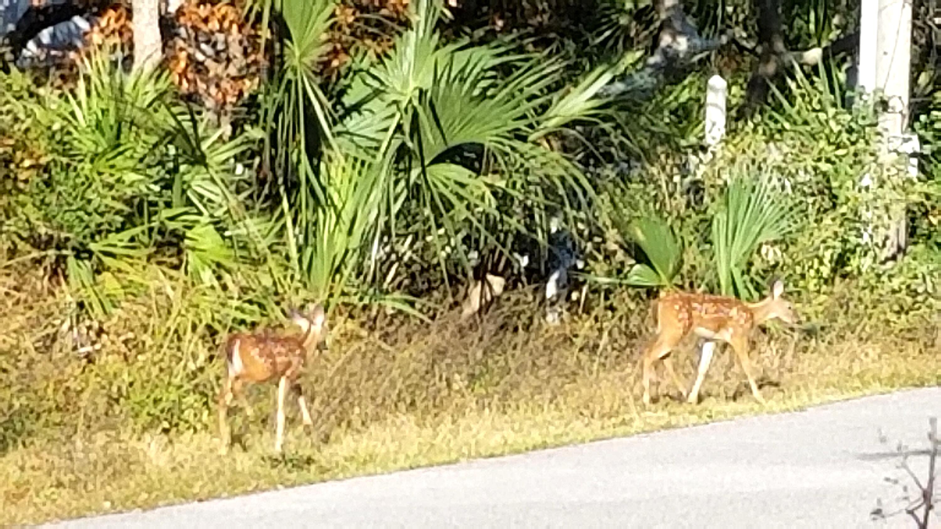 Lot 21 Crescent Road Santa Rosa Beach FL 32459