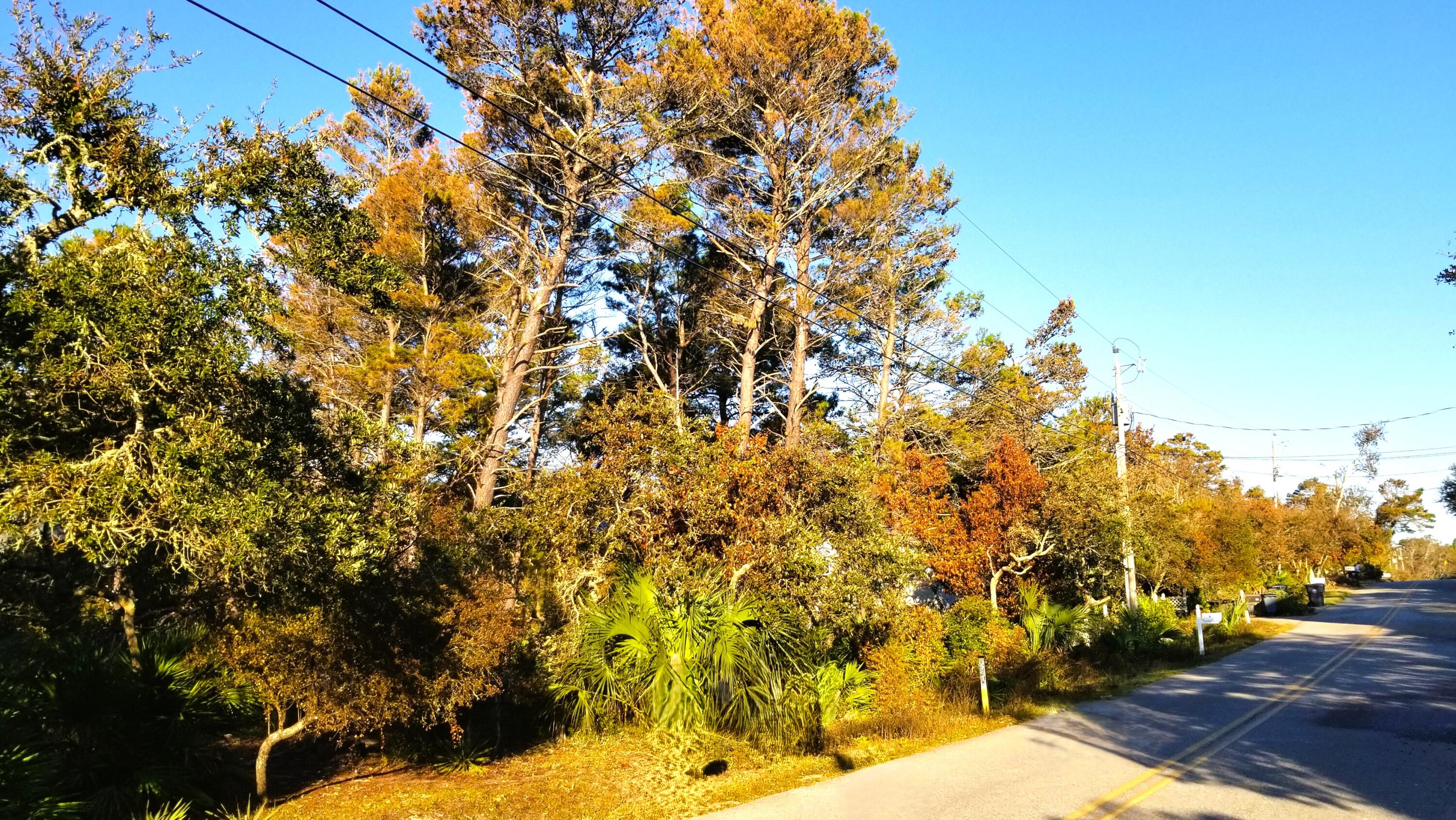Lot 21 Crescent Road Santa Rosa Beach FL 32459