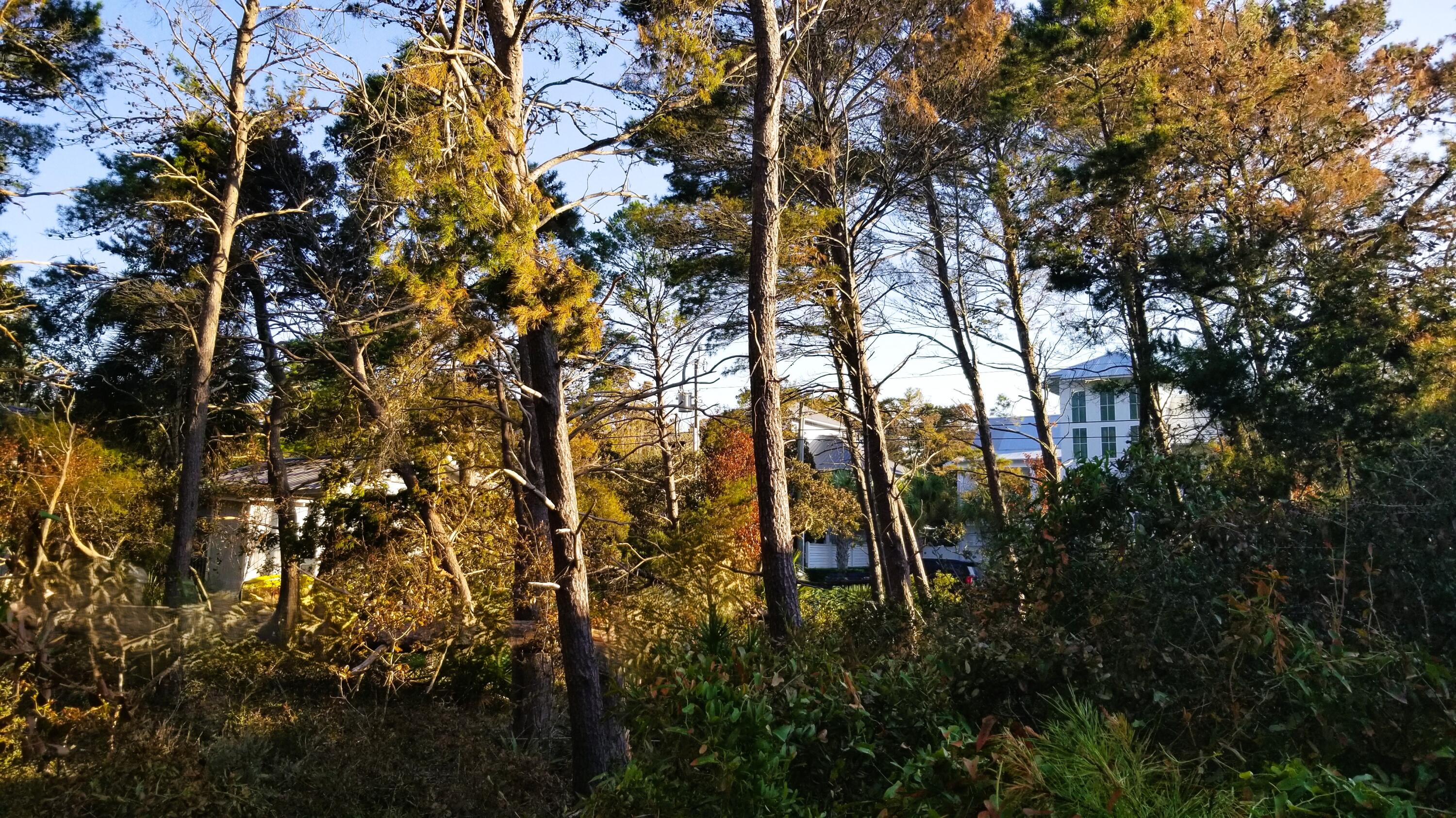 Lot 21 Crescent Road Santa Rosa Beach FL 32459