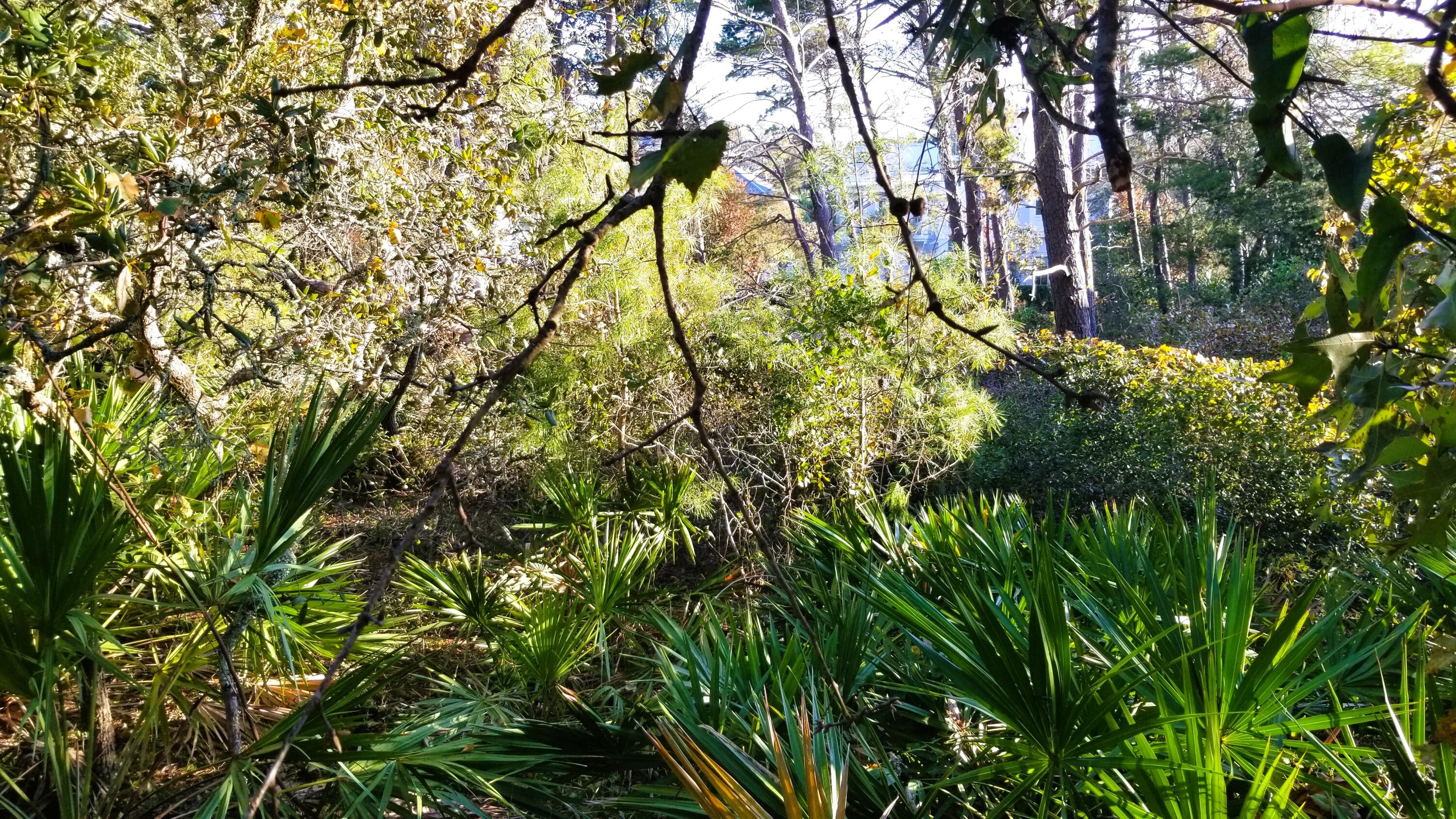 Lot 21 Crescent Road Santa Rosa Beach FL 32459