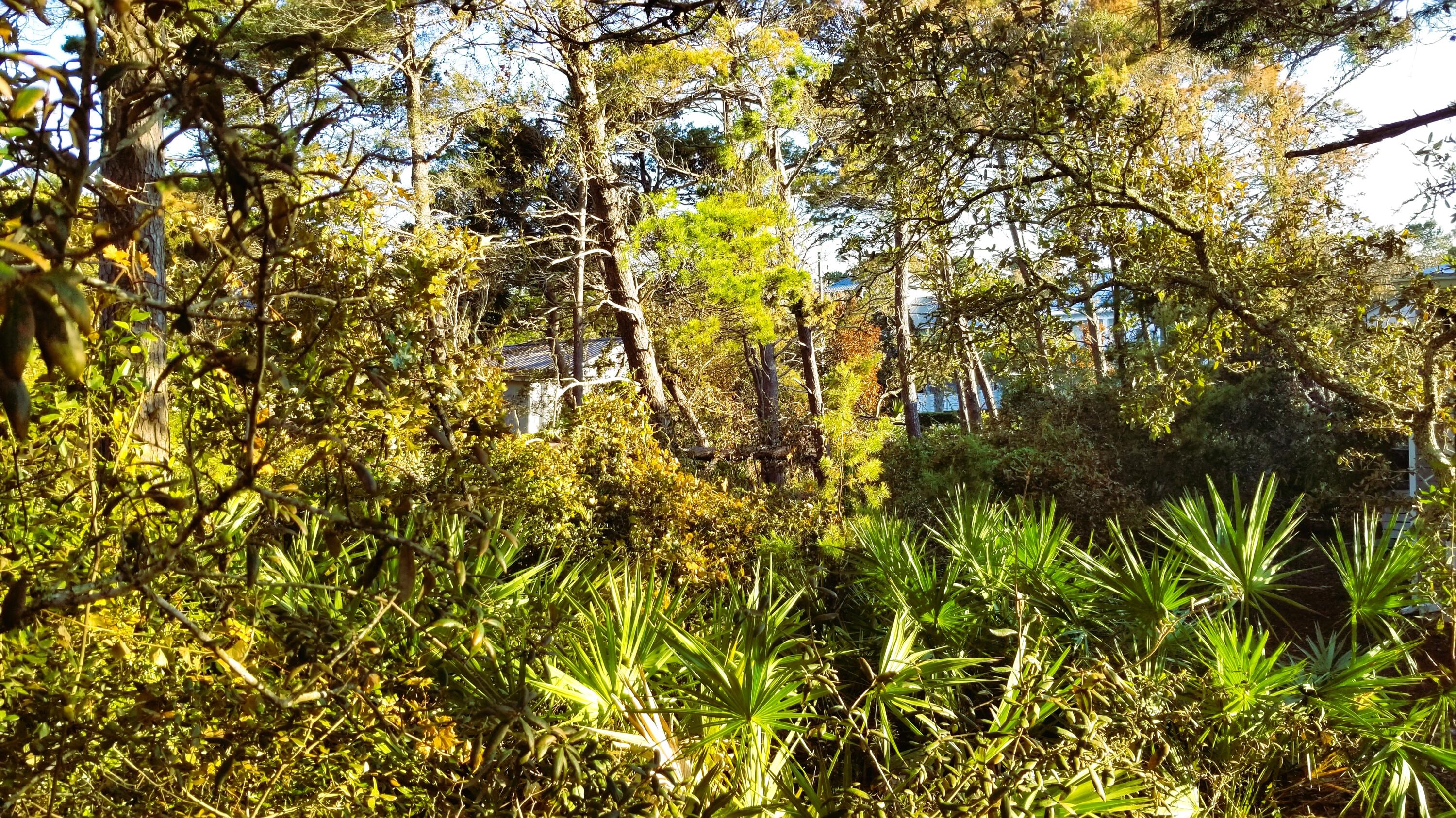 Lot 21 Crescent Road Santa Rosa Beach FL 32459