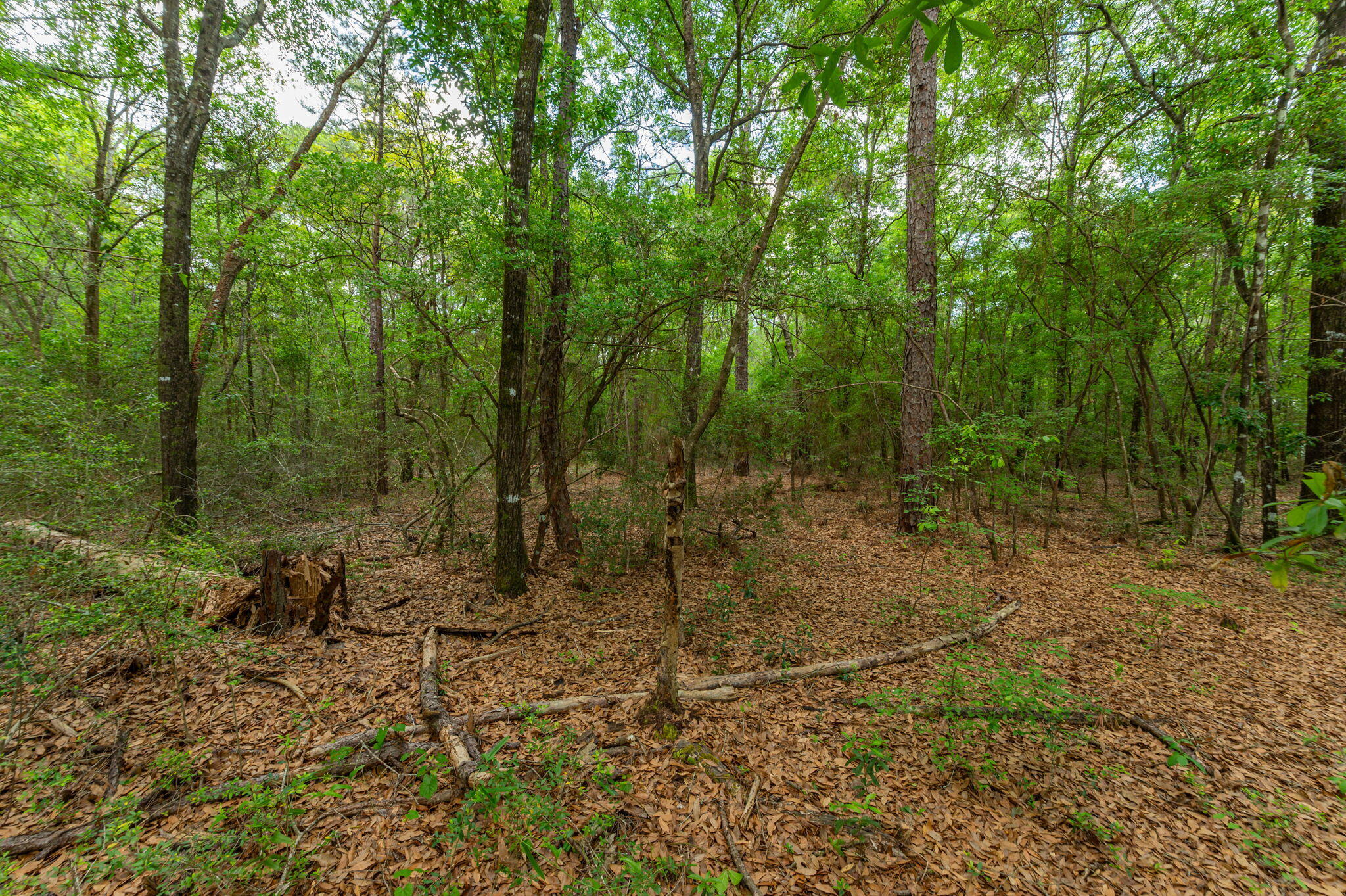 5.31 Ac Xx John Nix Road Crestview FL 32539