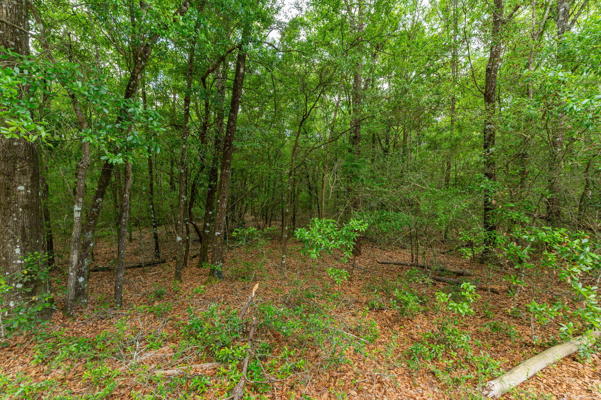 5.31 Ac Xx John Nix Road Crestview FL 32539
