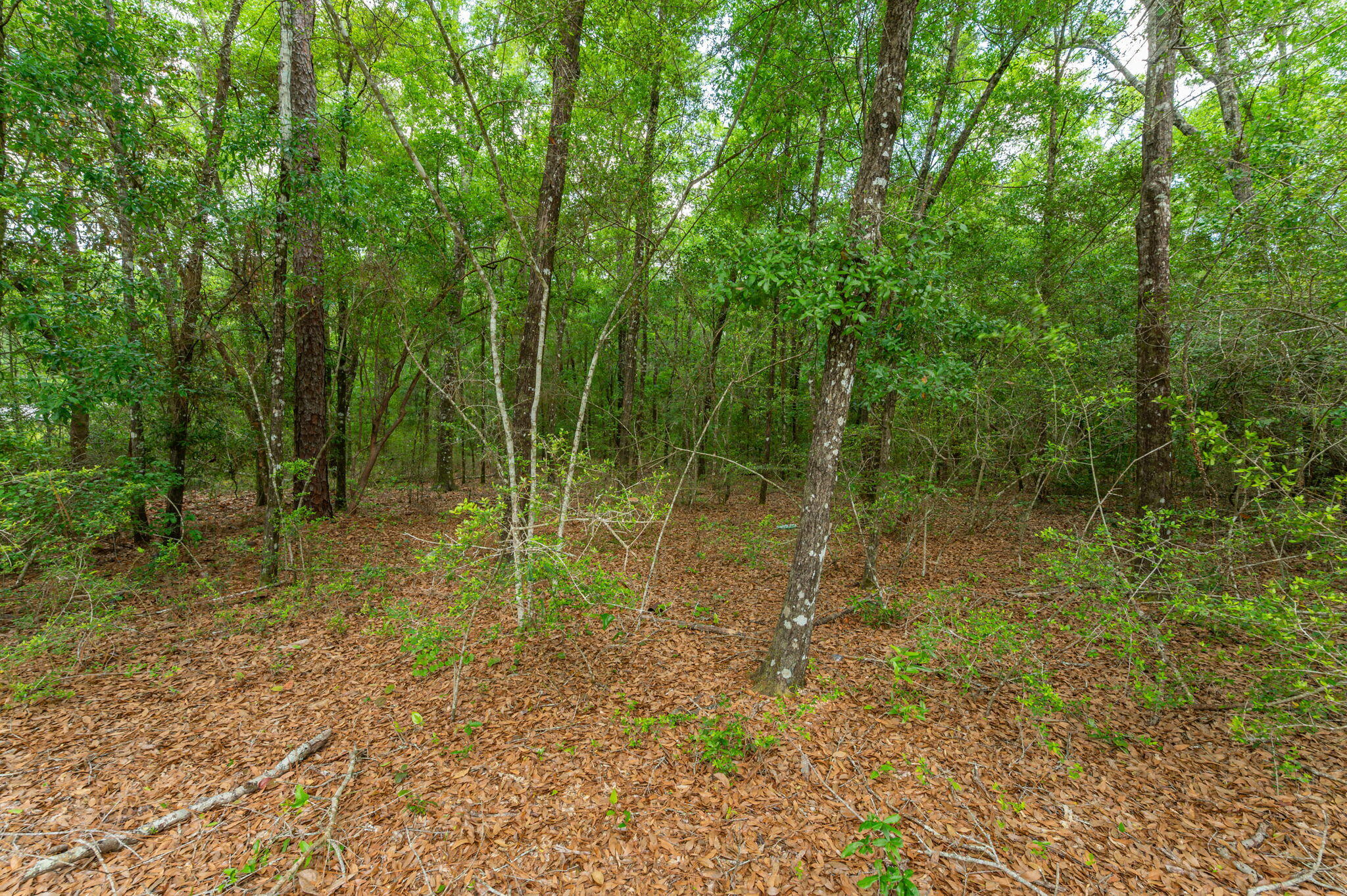 5.31 Ac Xx John Nix Road Crestview FL 32539