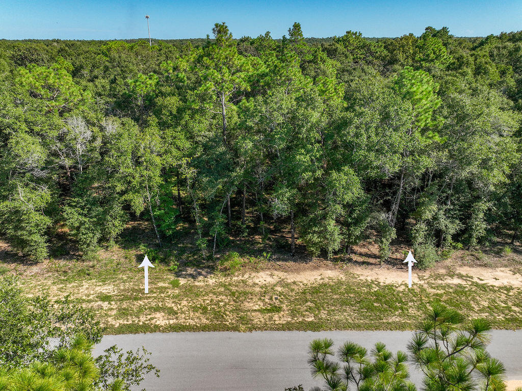 Lot 47 Seacoast Way Defuniak Springs FL 32433