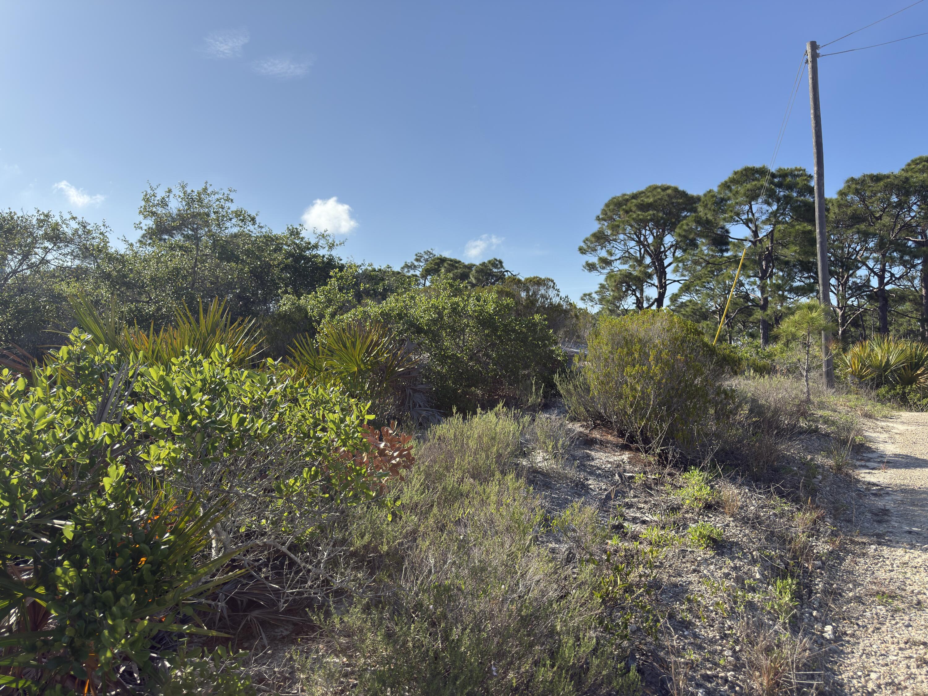 105 Sand Trace Drive Cape San Blas FL 32456