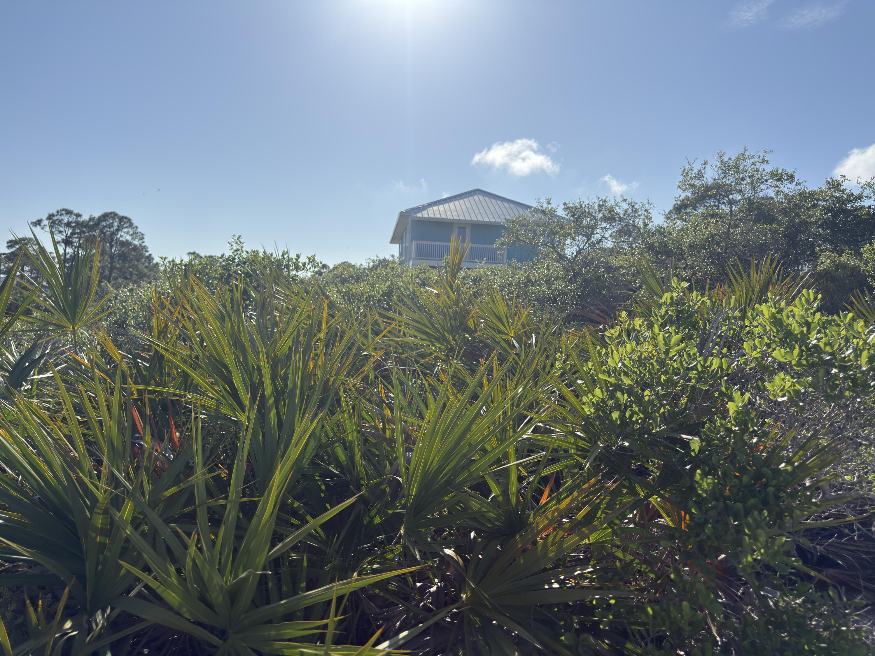 105 Sand Trace Drive Cape San Blas FL 32456