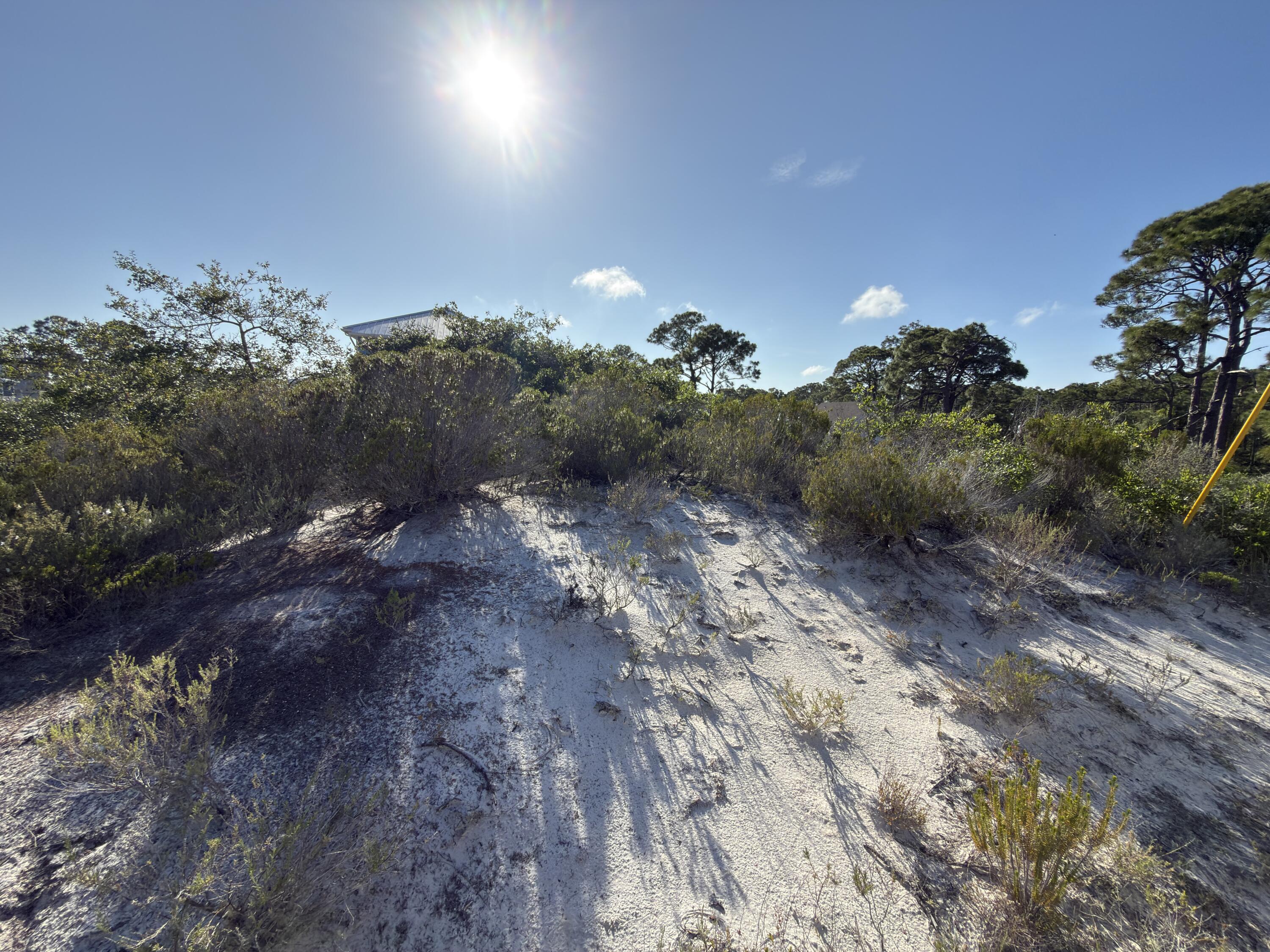 105 Sand Trace Drive Cape San Blas FL 32456