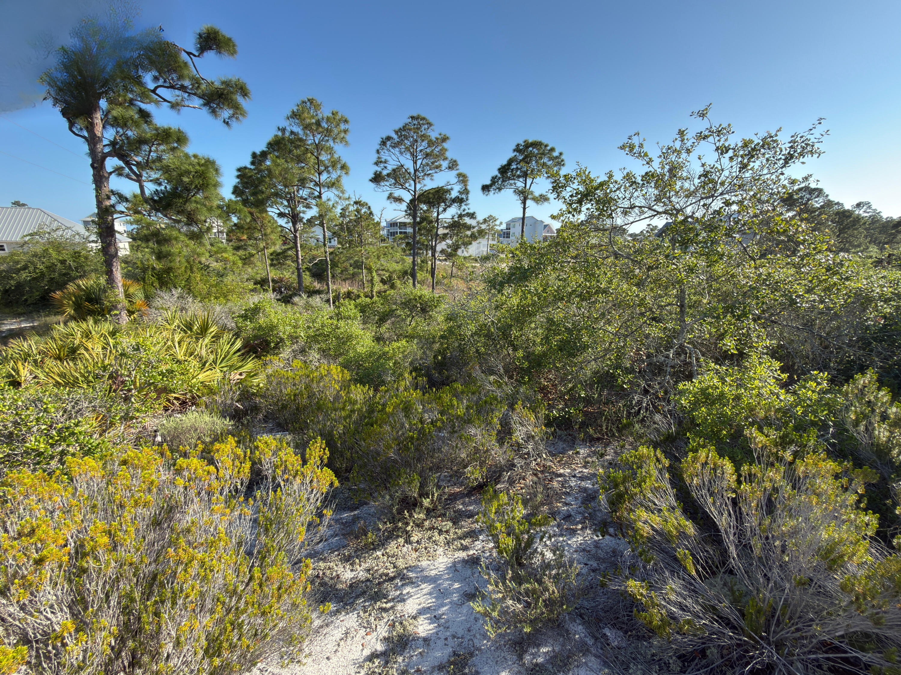 105 Sand Trace Drive Cape San Blas FL 32456