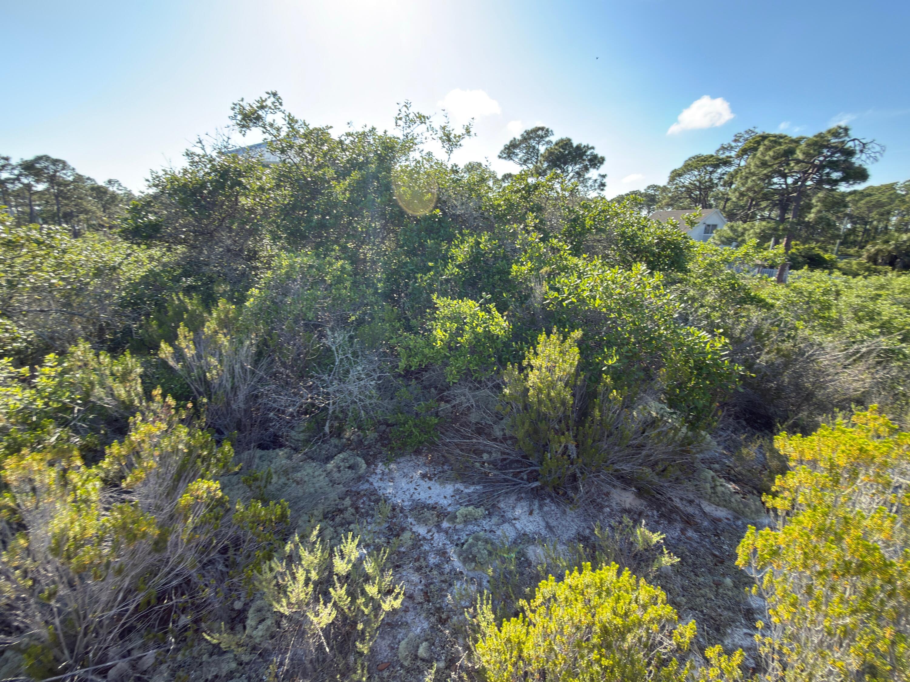 105 Sand Trace Drive Cape San Blas FL 32456