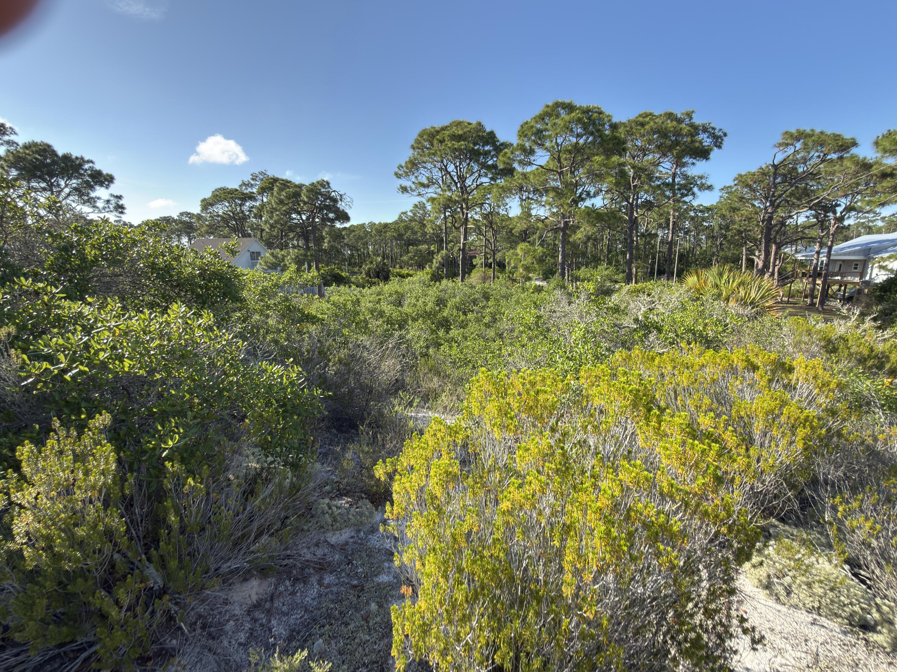 105 Sand Trace Drive Cape San Blas FL 32456