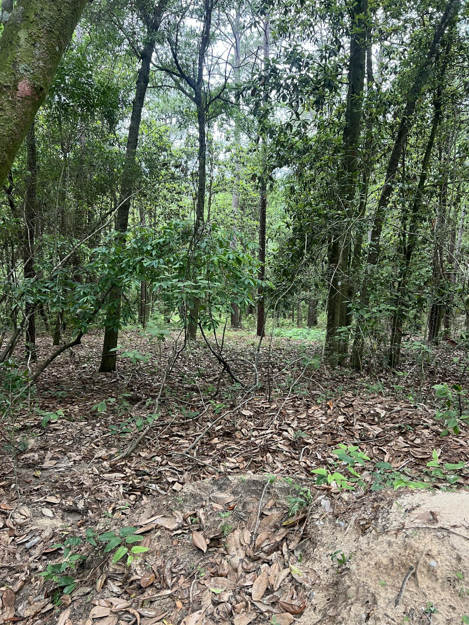Parcel C Willow Lane Crestview FL 32539