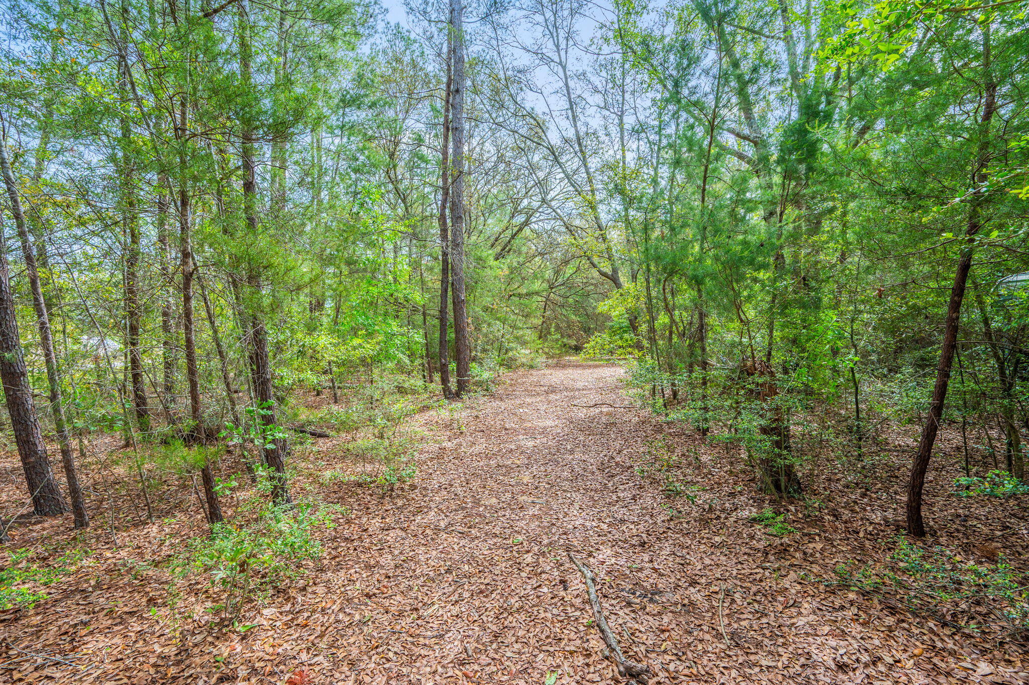 7765 S Us Highway 331 Defuniak Springs FL 32435