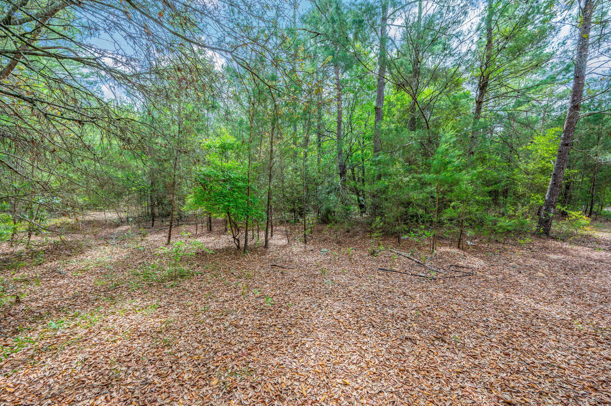 7765 S Us Highway 331 Defuniak Springs FL 32435