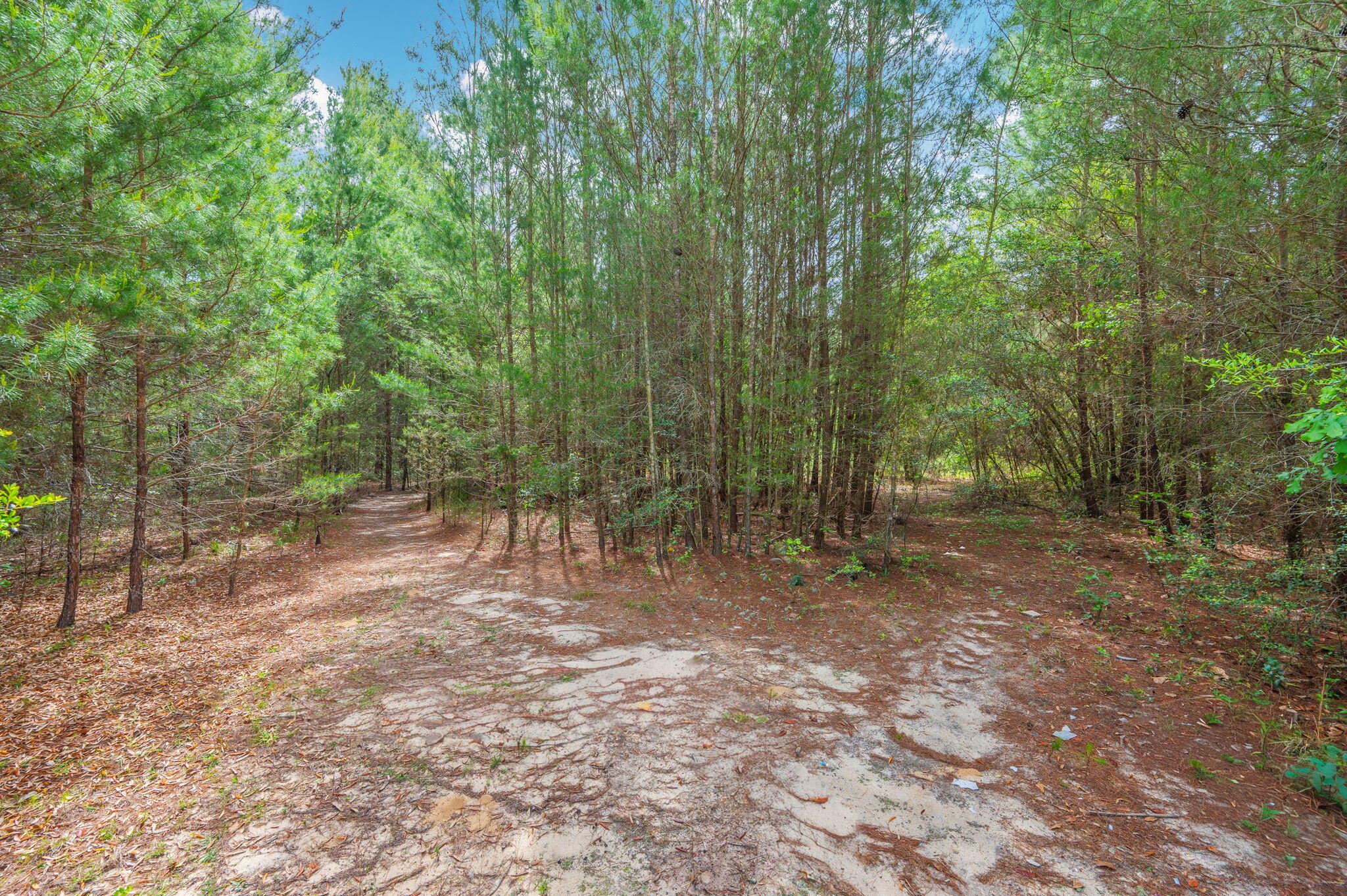 7765 S Us Highway 331 Defuniak Springs FL 32435
