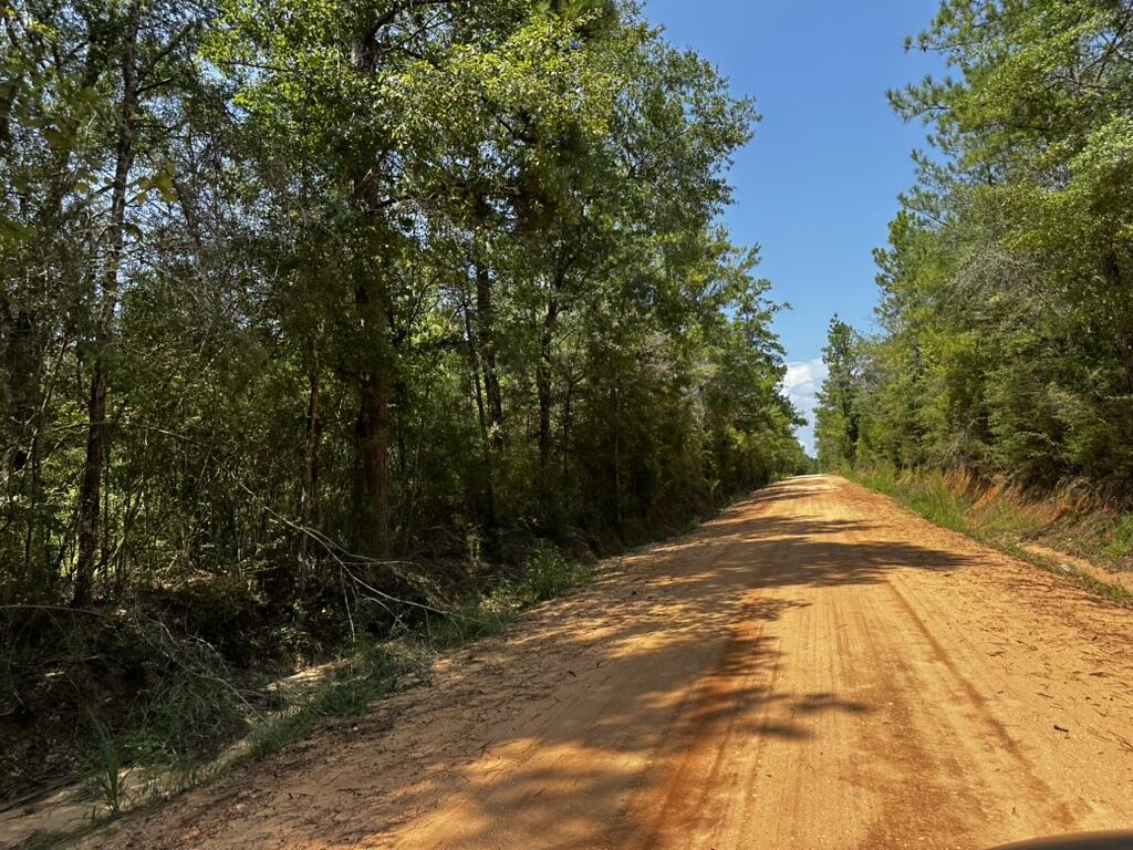 66 Varnum Road Laurel Hill FL 32567