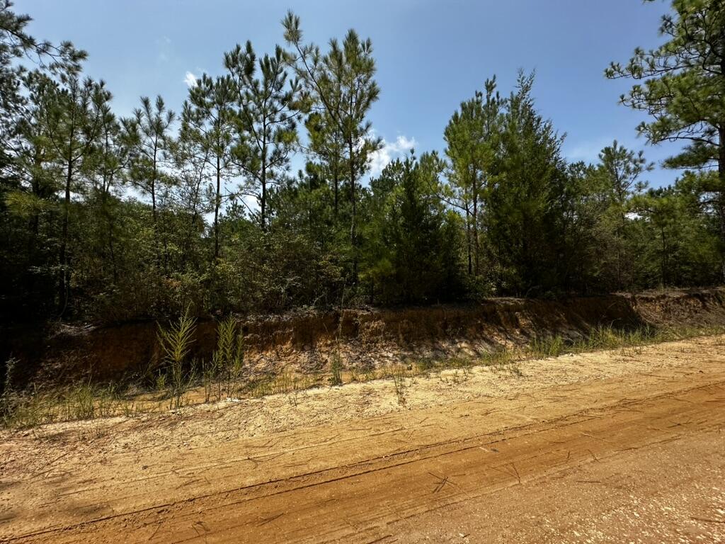 66 Varnum Road Laurel Hill FL 32567