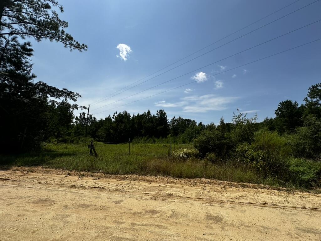 66 Varnum Road Laurel Hill FL 32567