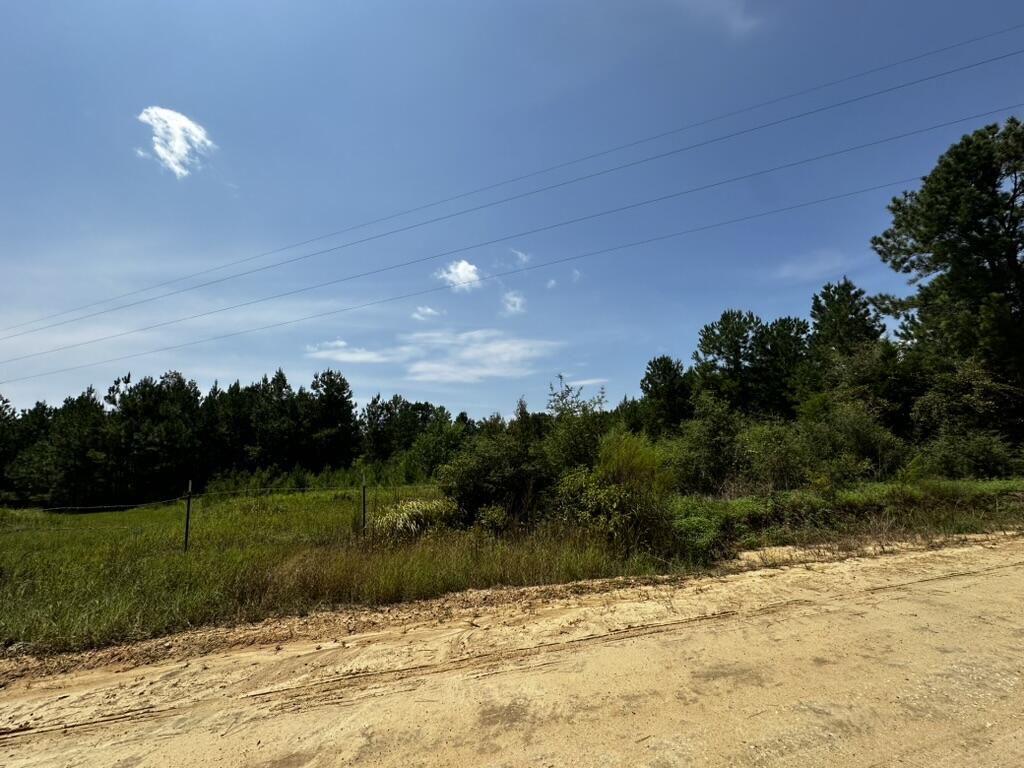 66 Varnum Road Laurel Hill FL 32567