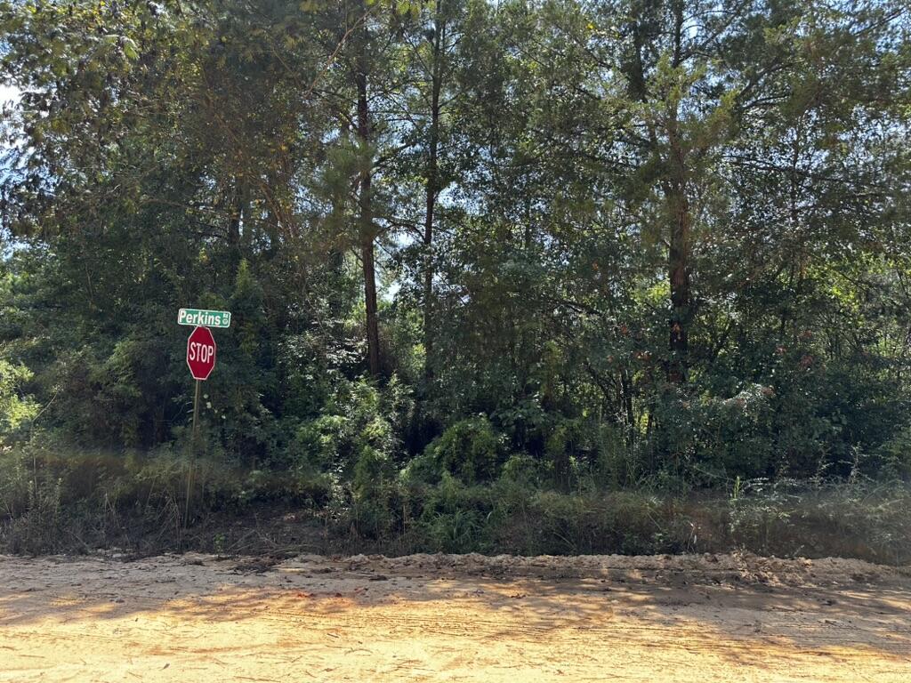 66 Varnum Road Laurel Hill FL 32567