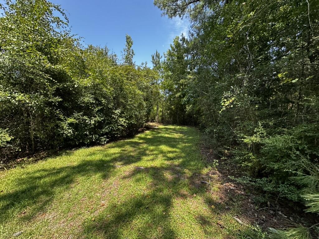 66 Varnum Road Laurel Hill FL 32567