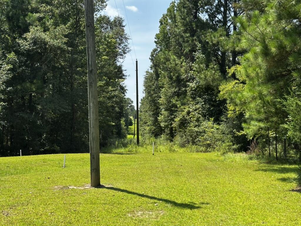 66 Varnum Road Laurel Hill FL 32567
