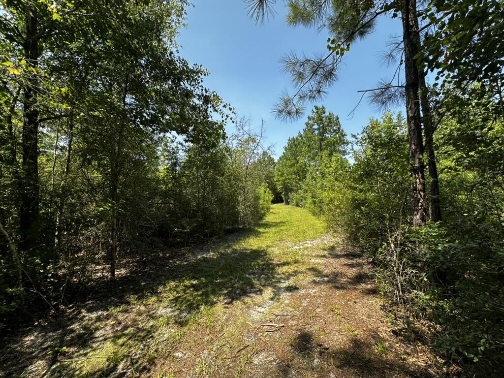 66 Varnum Road Laurel Hill FL 32567