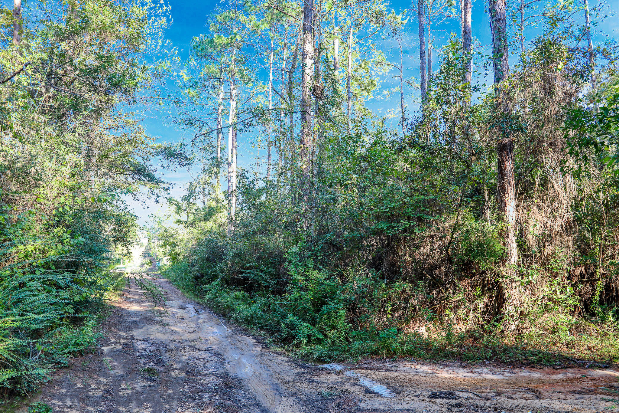 1.5 Acres Grace Drive Defuniak Springs FL 32433