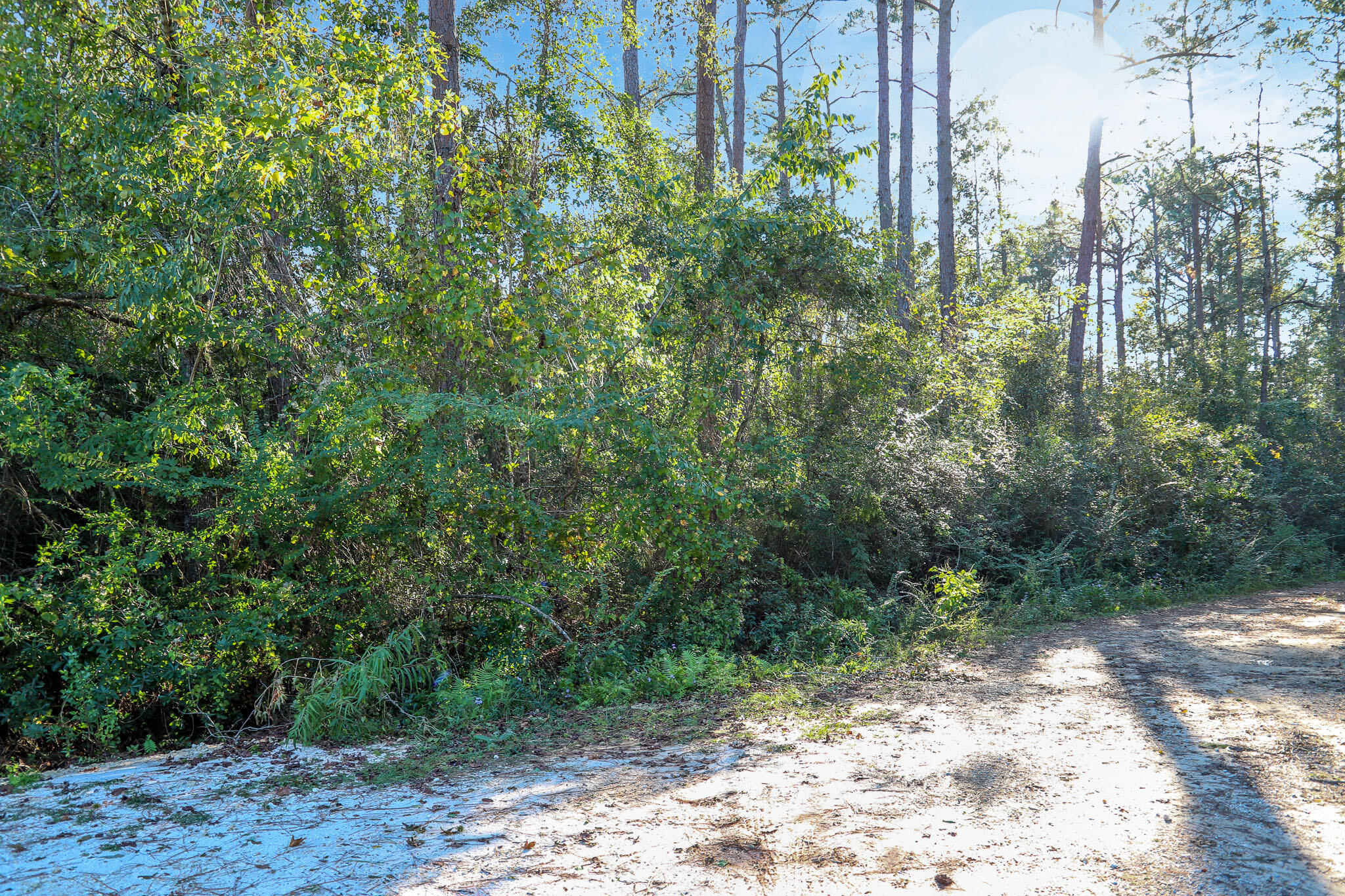 1.5 Acres Grace Drive Defuniak Springs FL 32433
