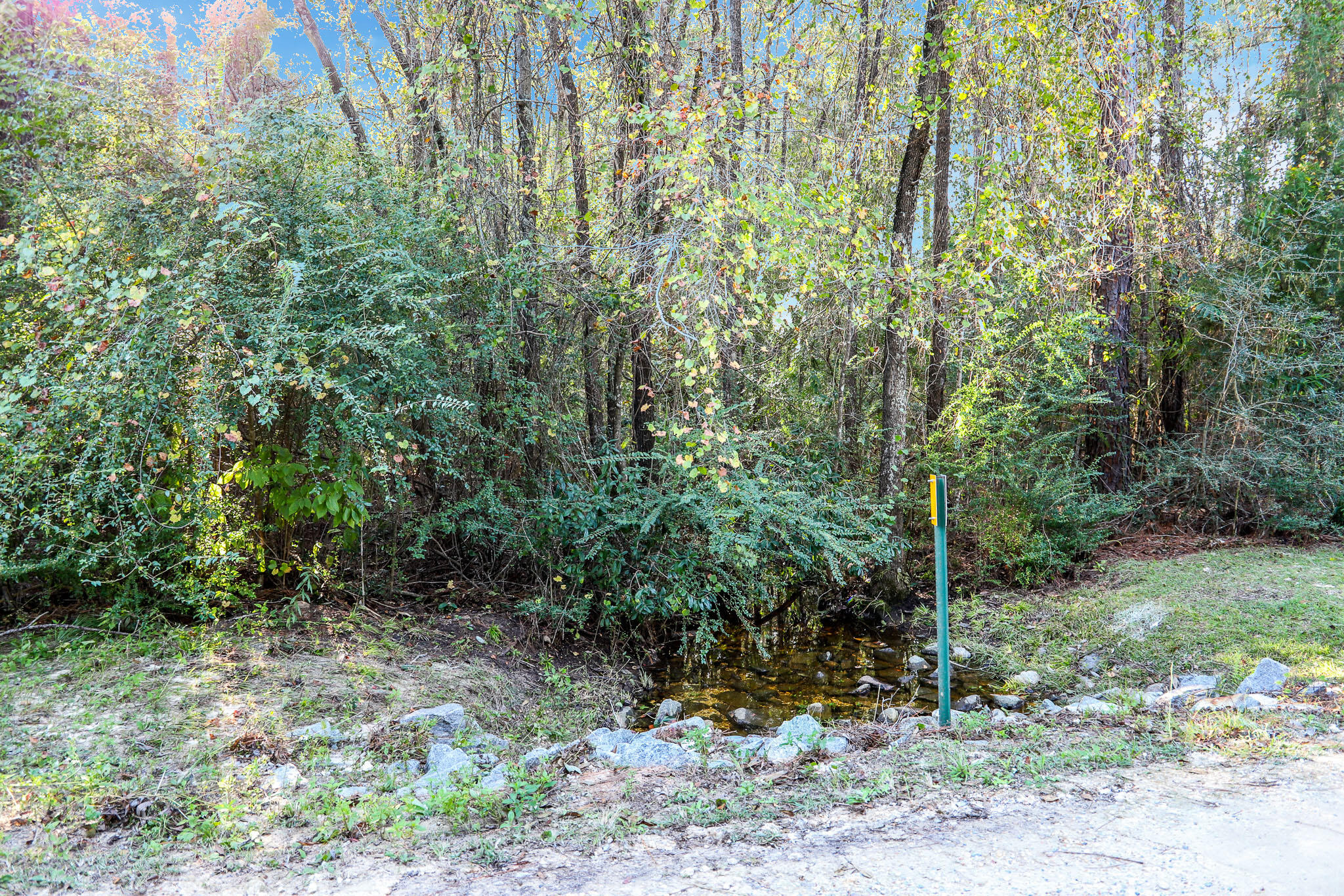 1.5 Acres Grace Drive Defuniak Springs FL 32433