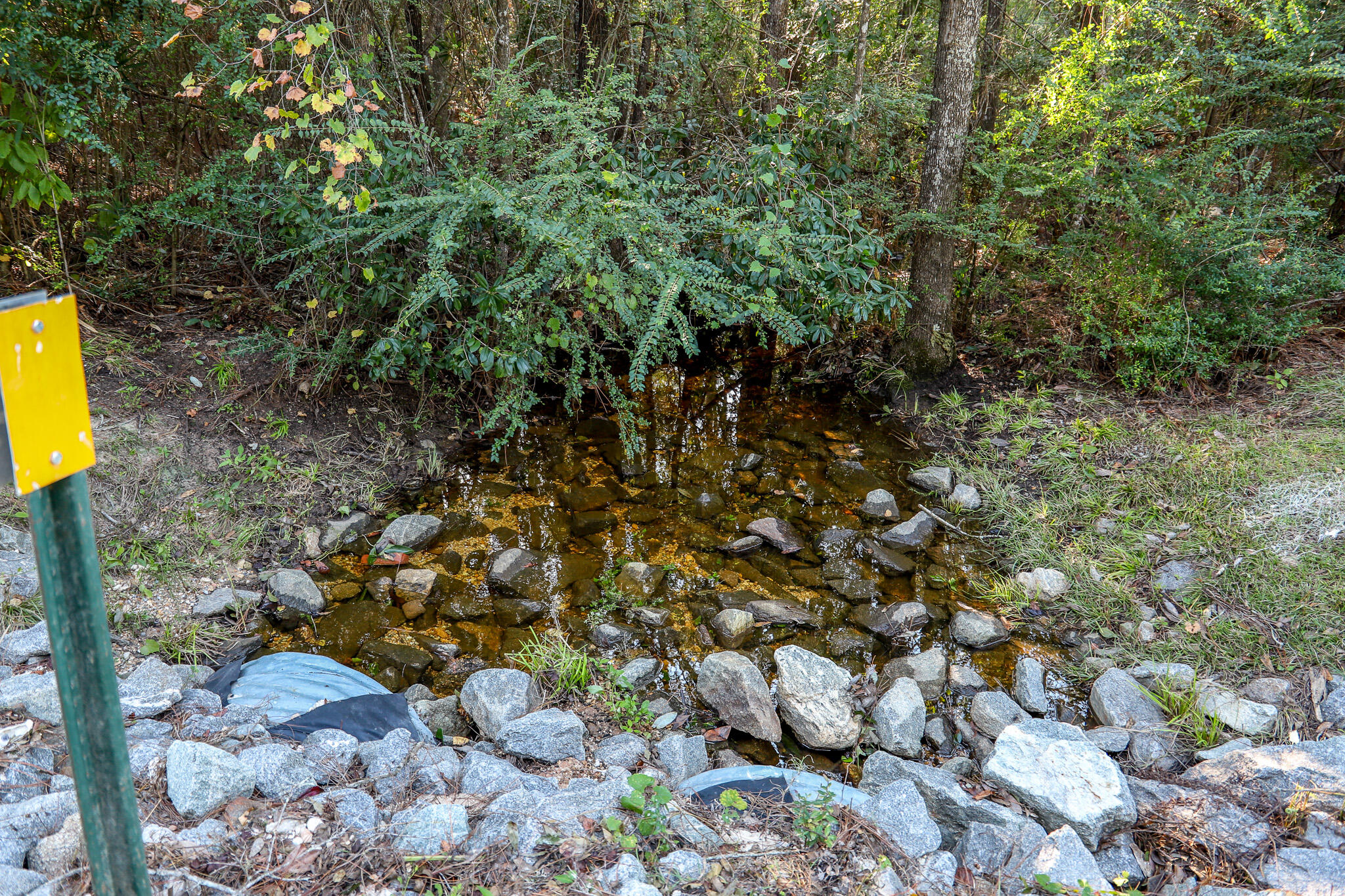 1.5 Acres Grace Drive Defuniak Springs FL 32433