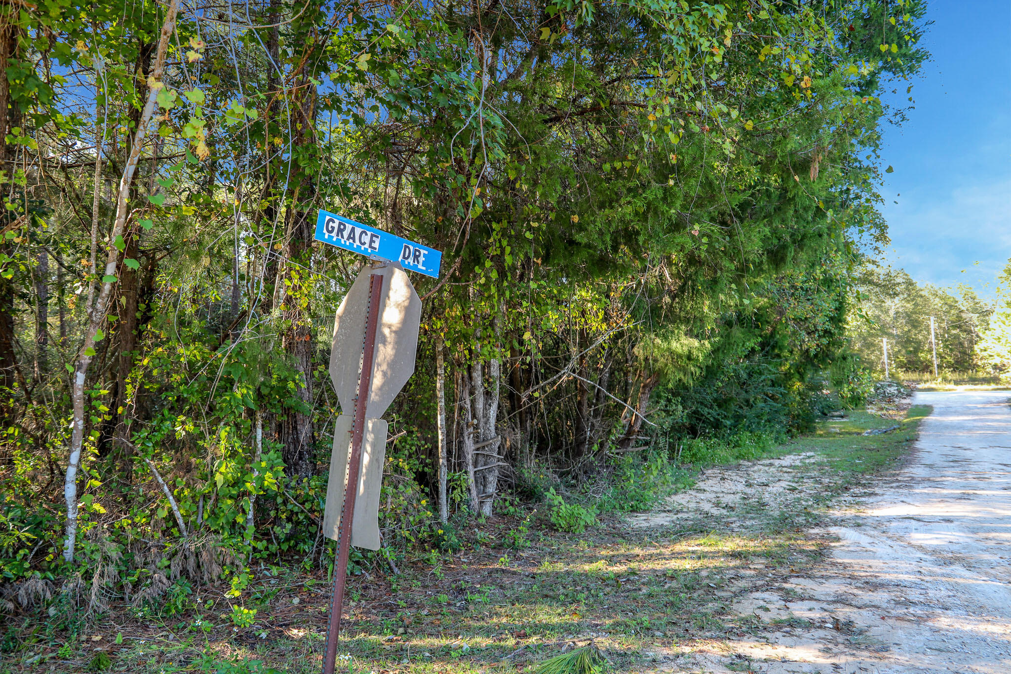 1.5 Acres Grace Drive Defuniak Springs FL 32433