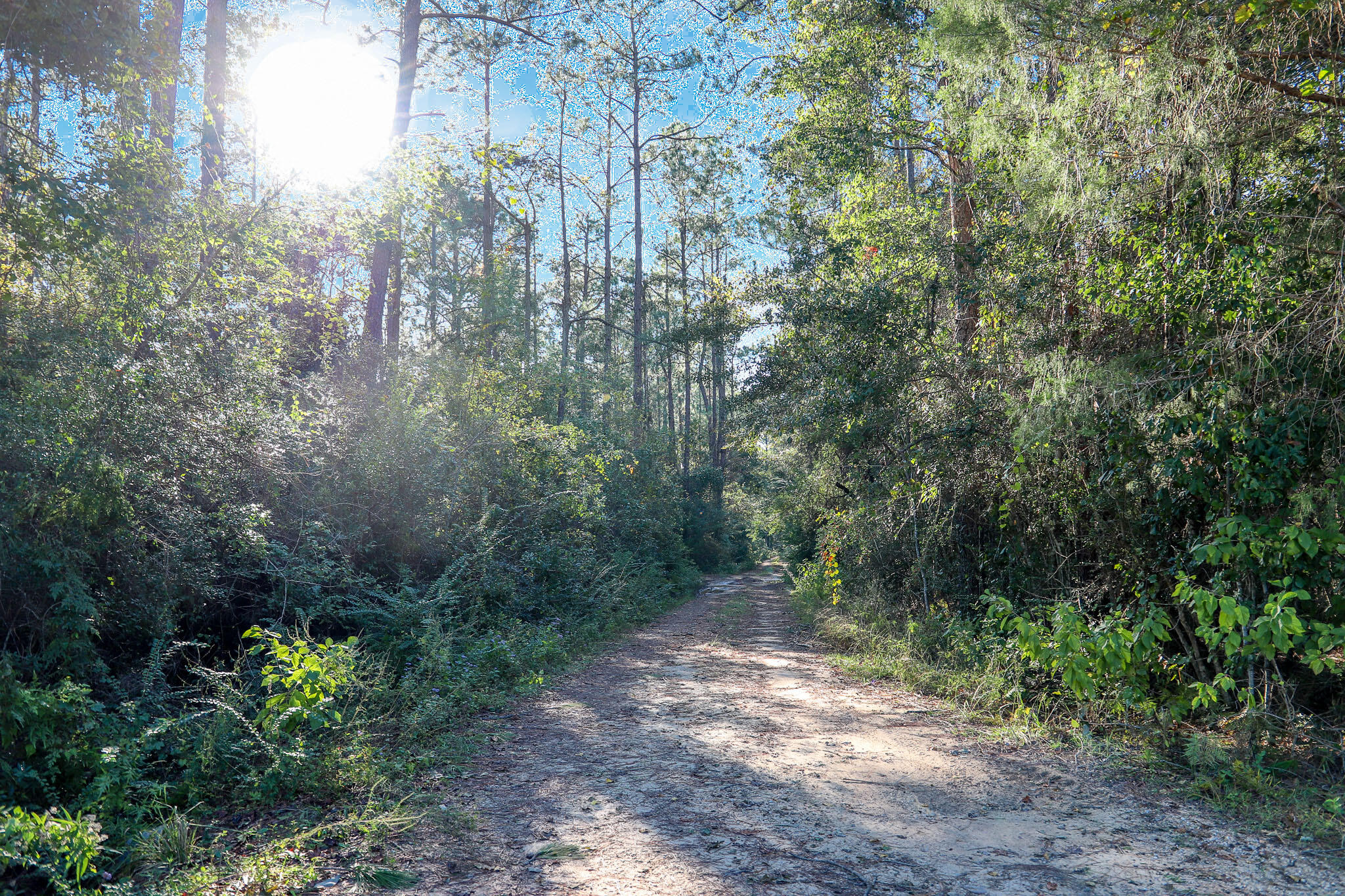 1.5 Acres Grace Drive Defuniak Springs FL 32433