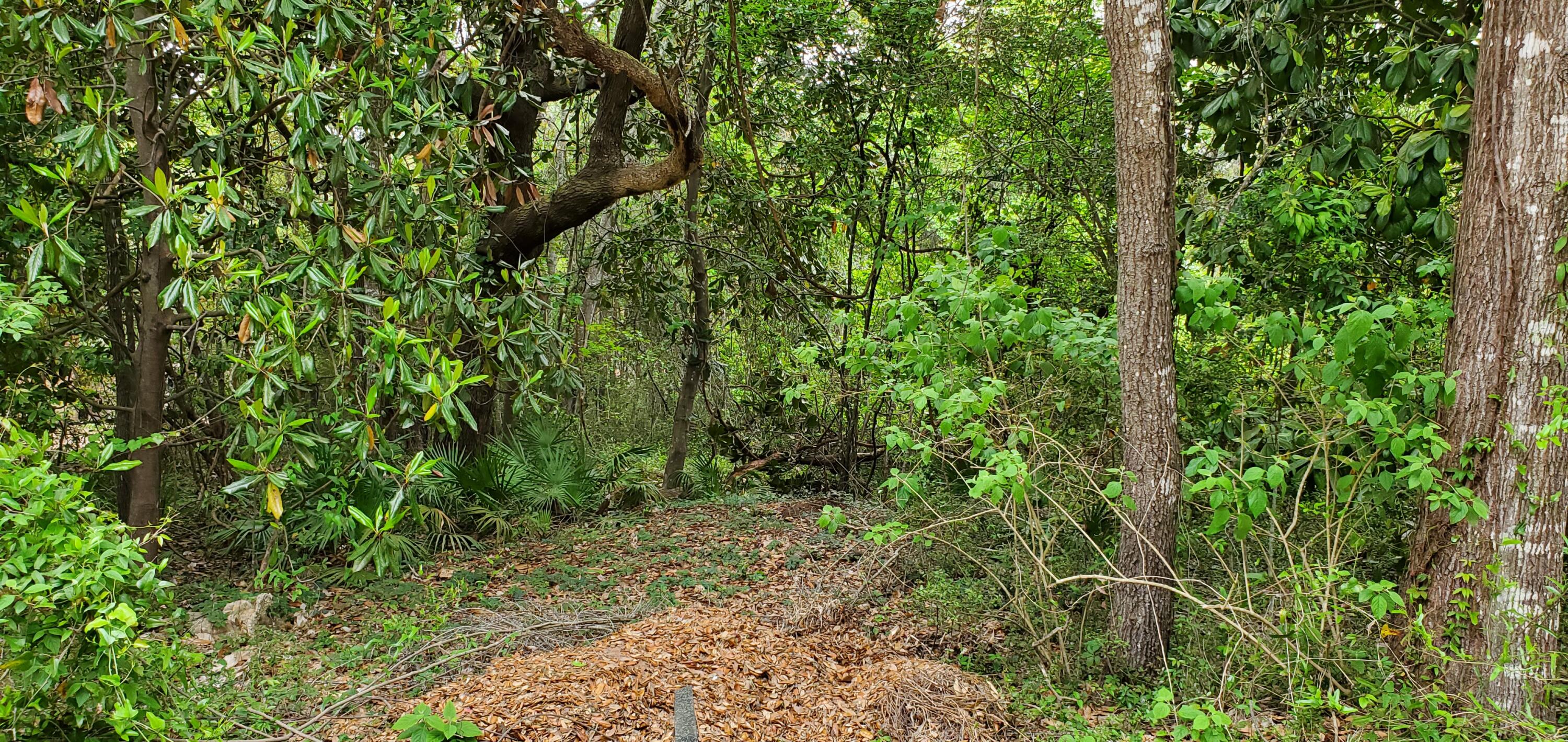 Lot 11 Live Oak Street Niceville FL 32578